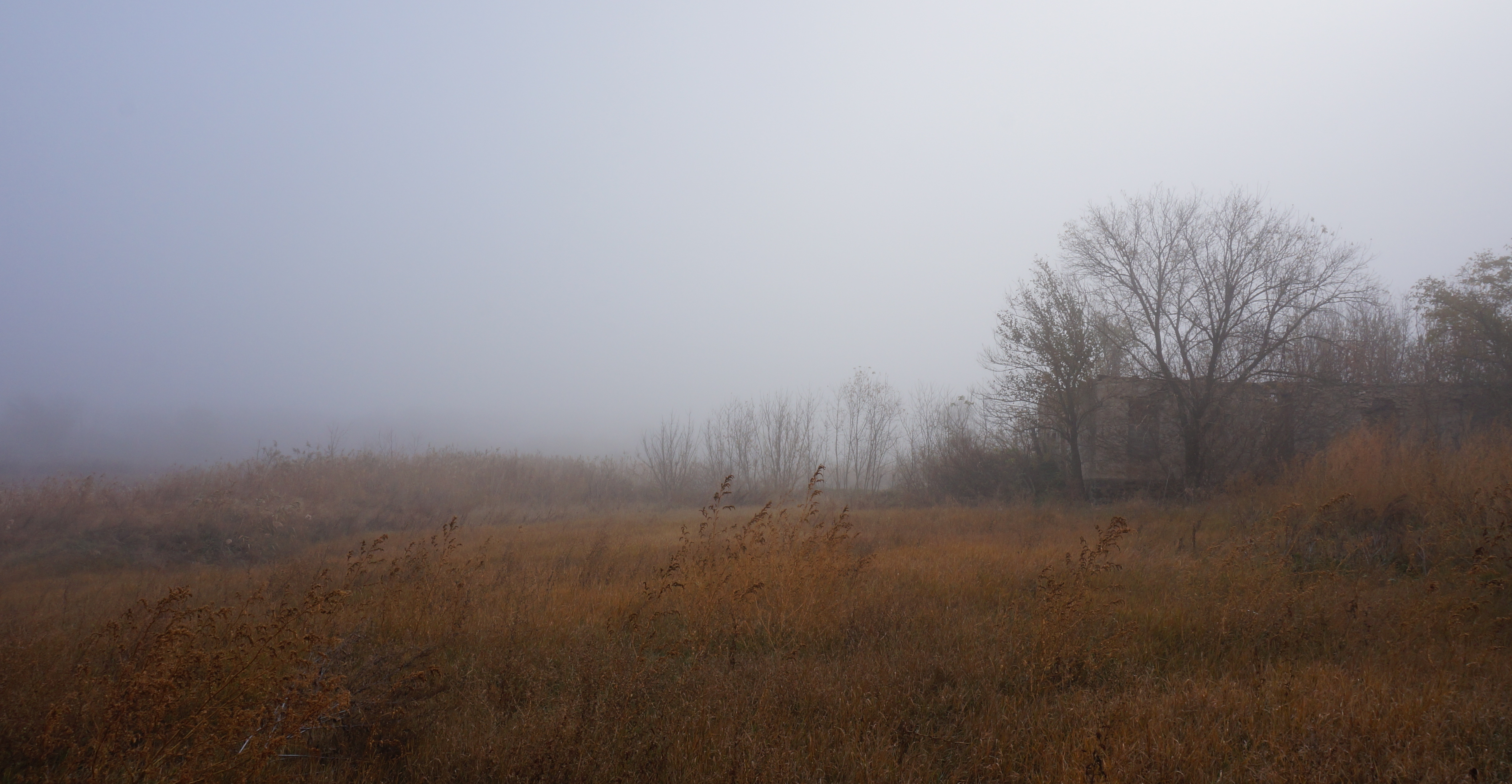 DSC01590.JPG