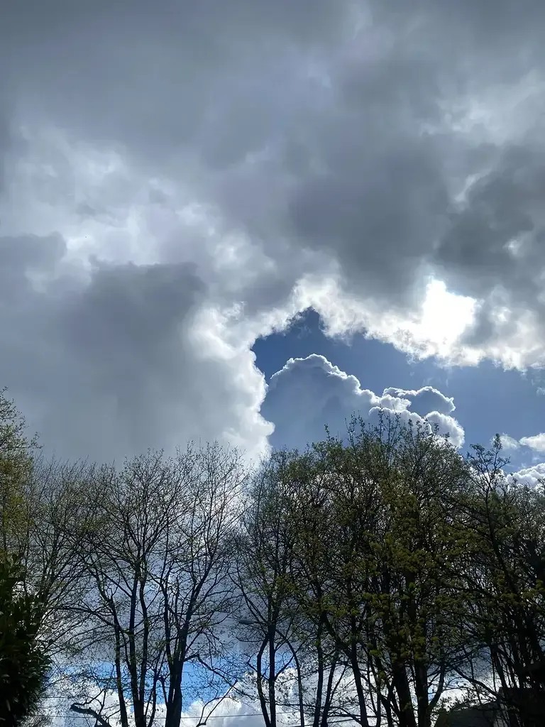 17850105751943980580585068206390.jpg