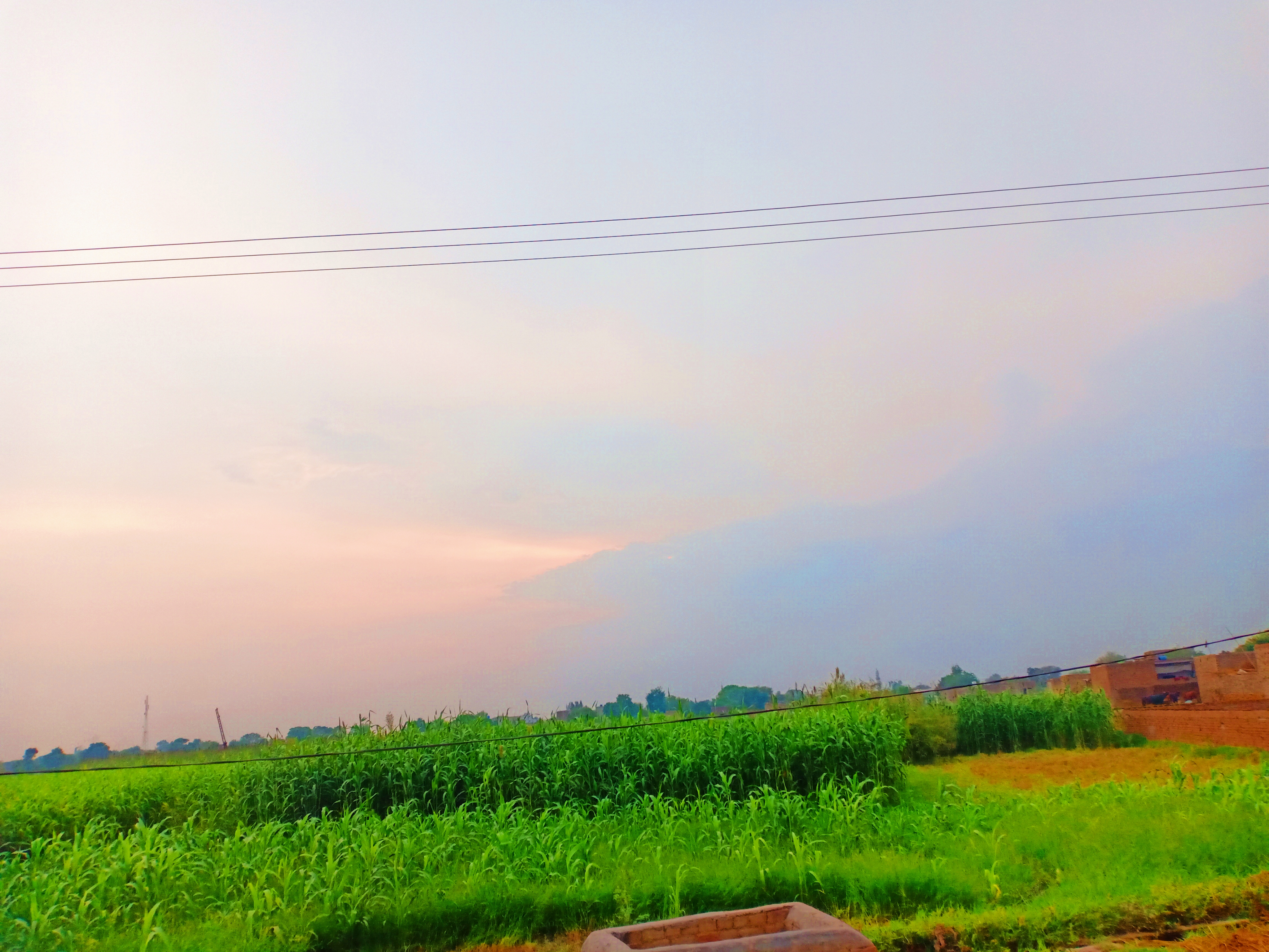 IMG_20210908_180359.jpg