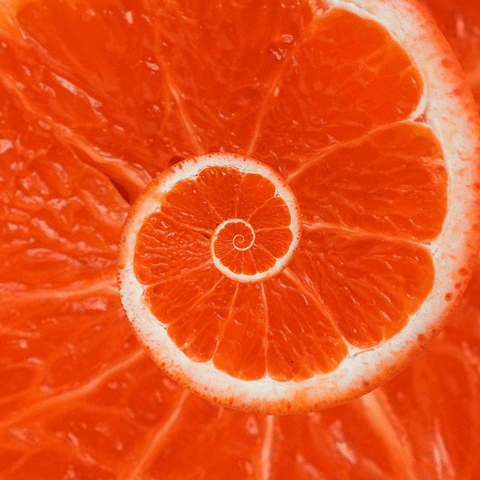 vitcee.gif