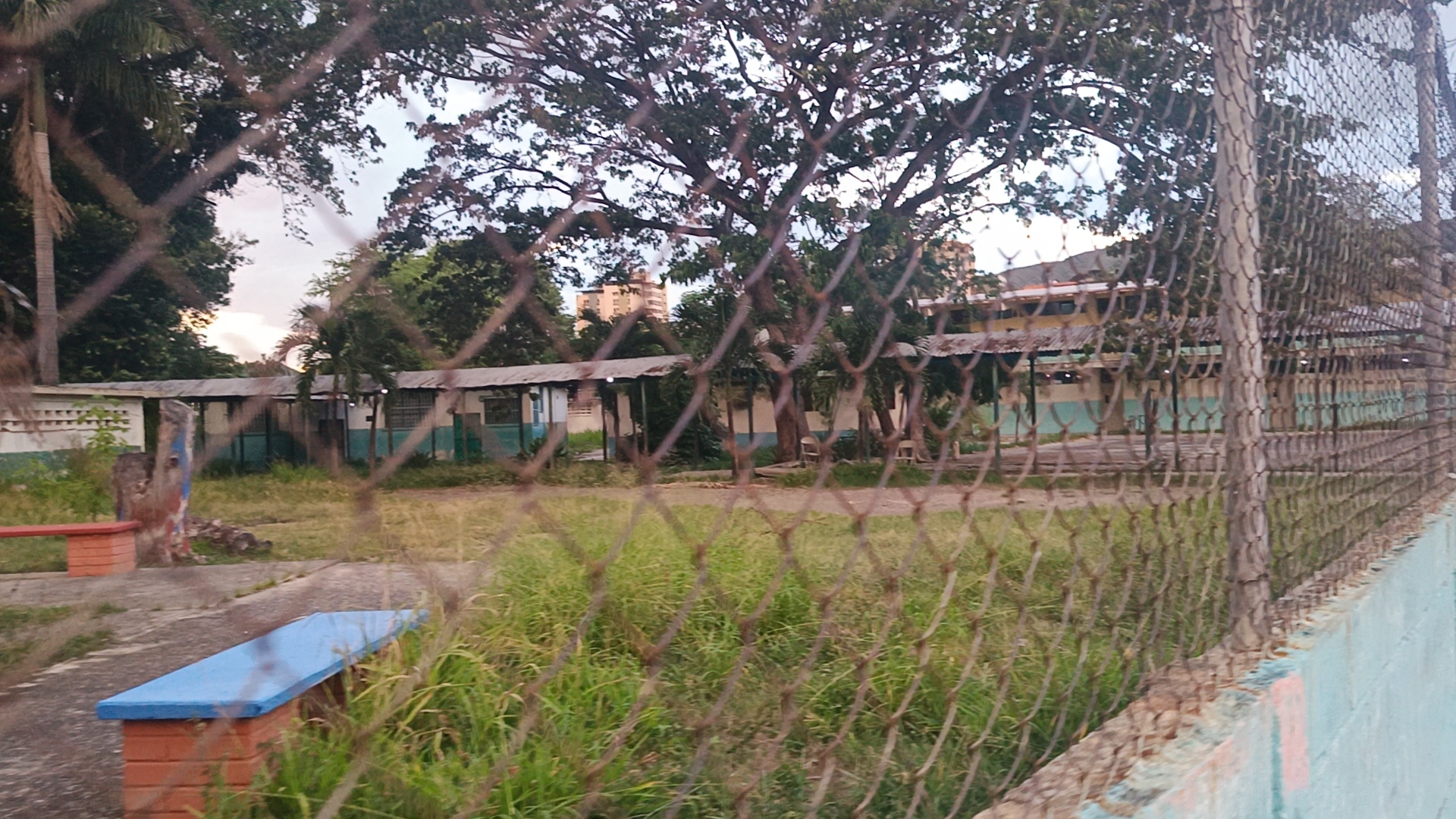 1001536642.jpg