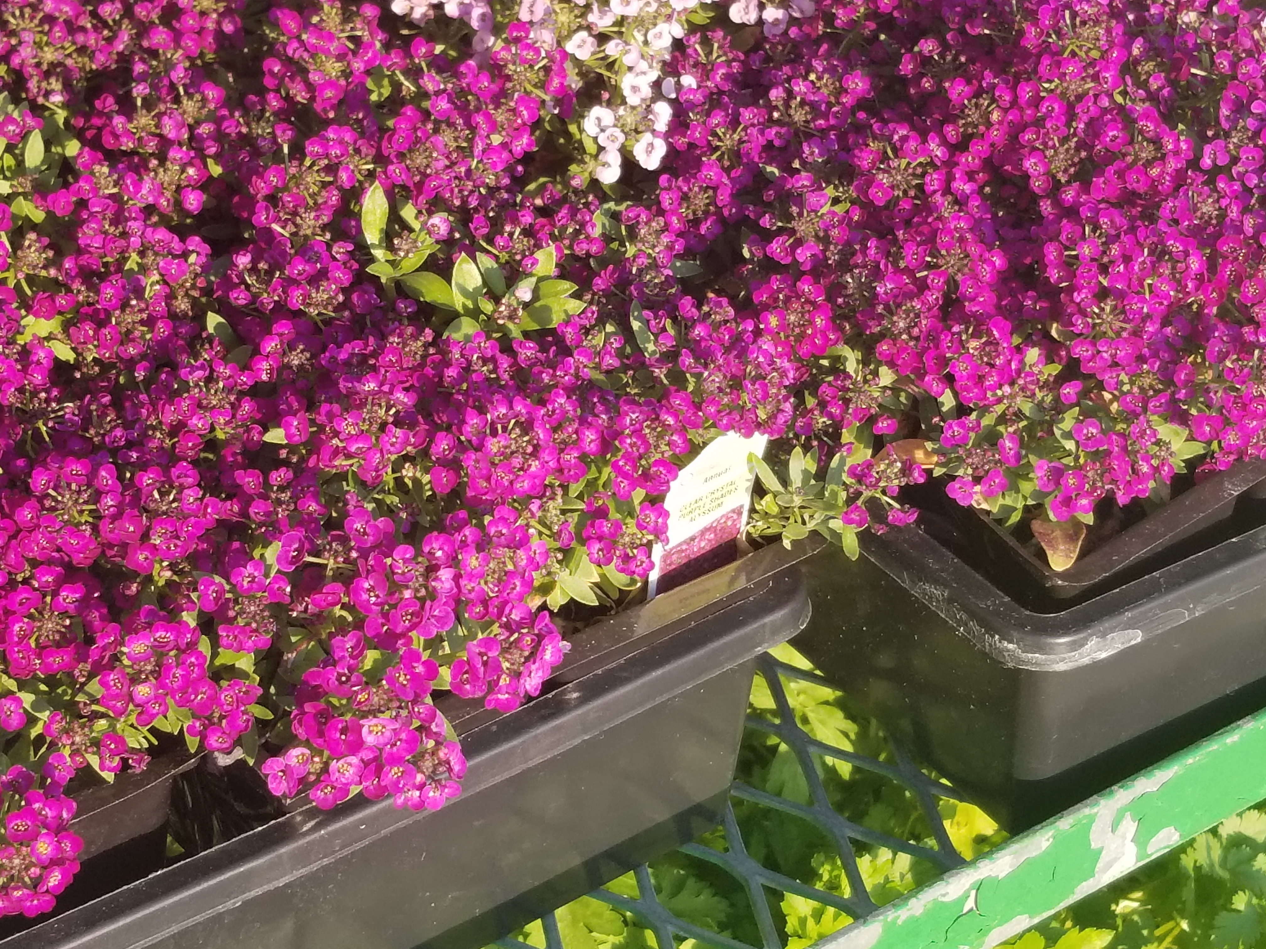 20190528_065520.jpg