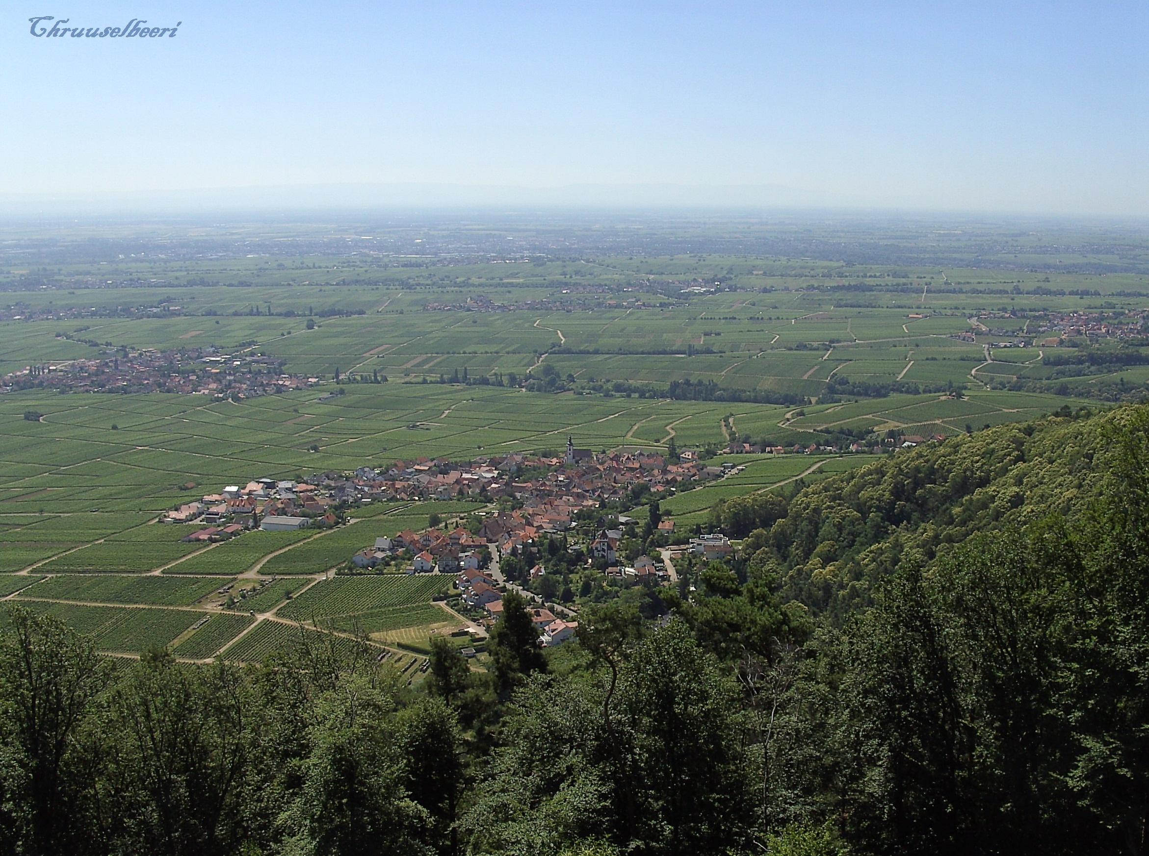 Aussicht_05.jpg
