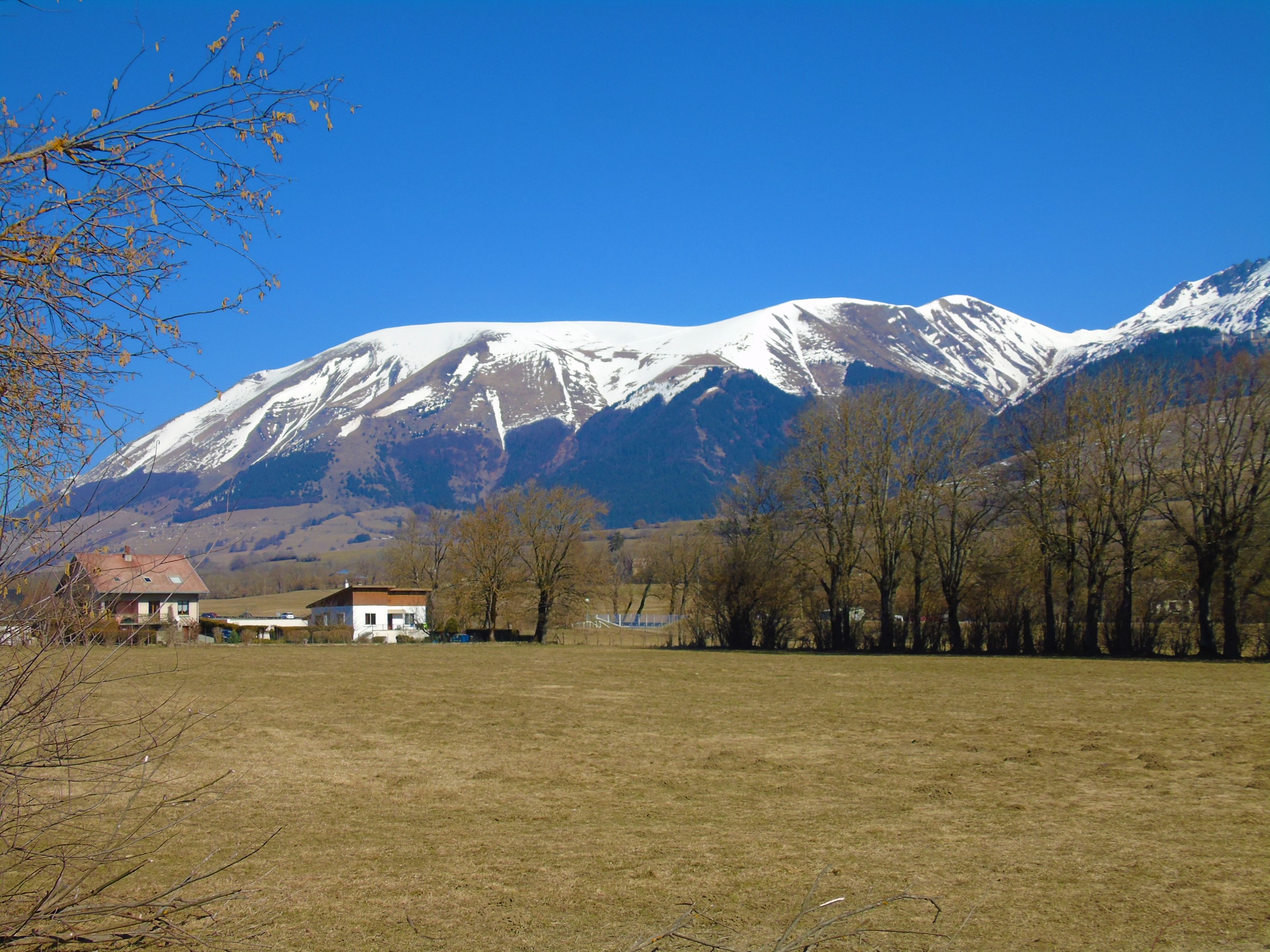 1photofeedlandscape74 (8).JPG