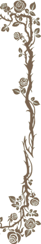 Rama vertical derecha.png