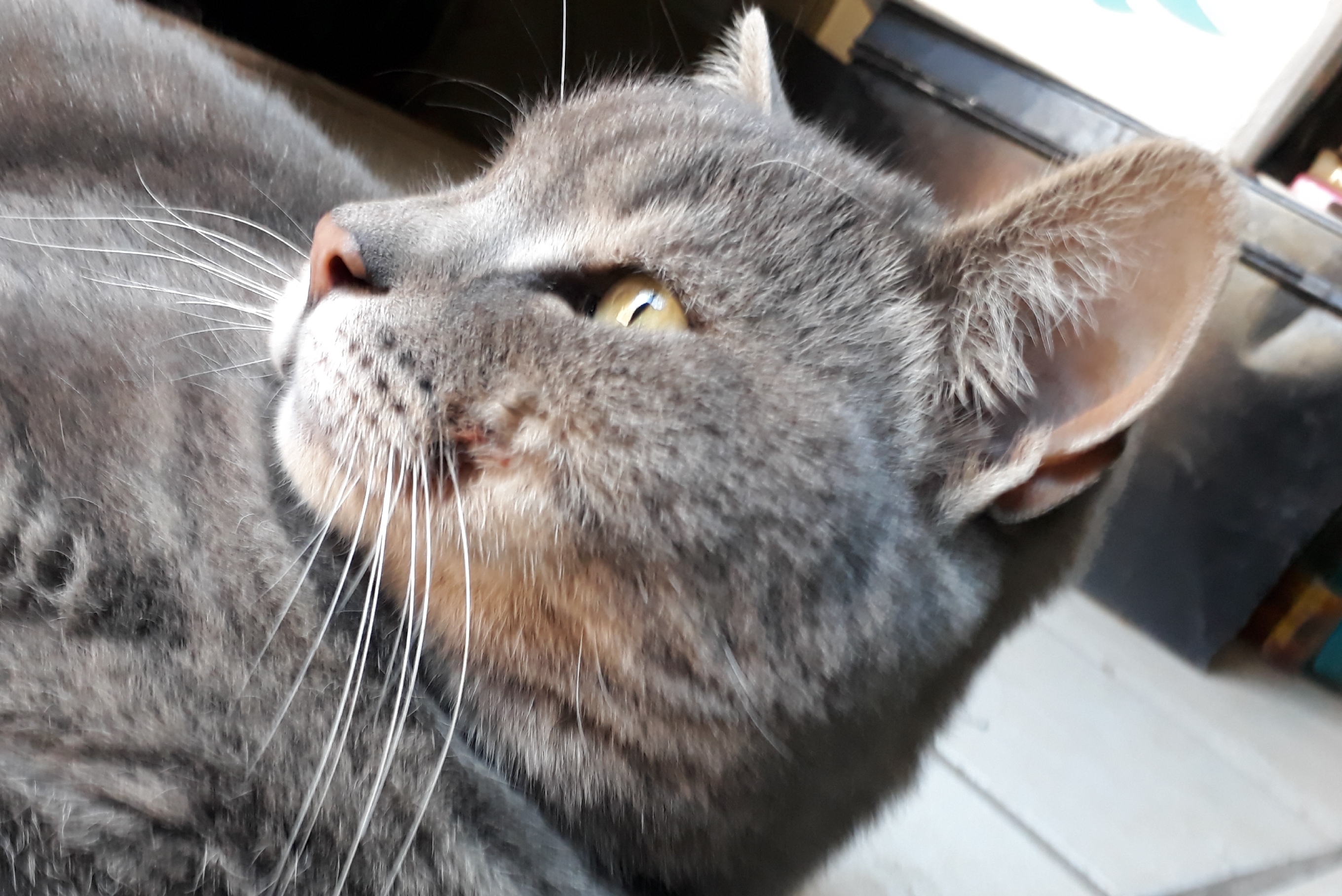 20180731_191252.jpg