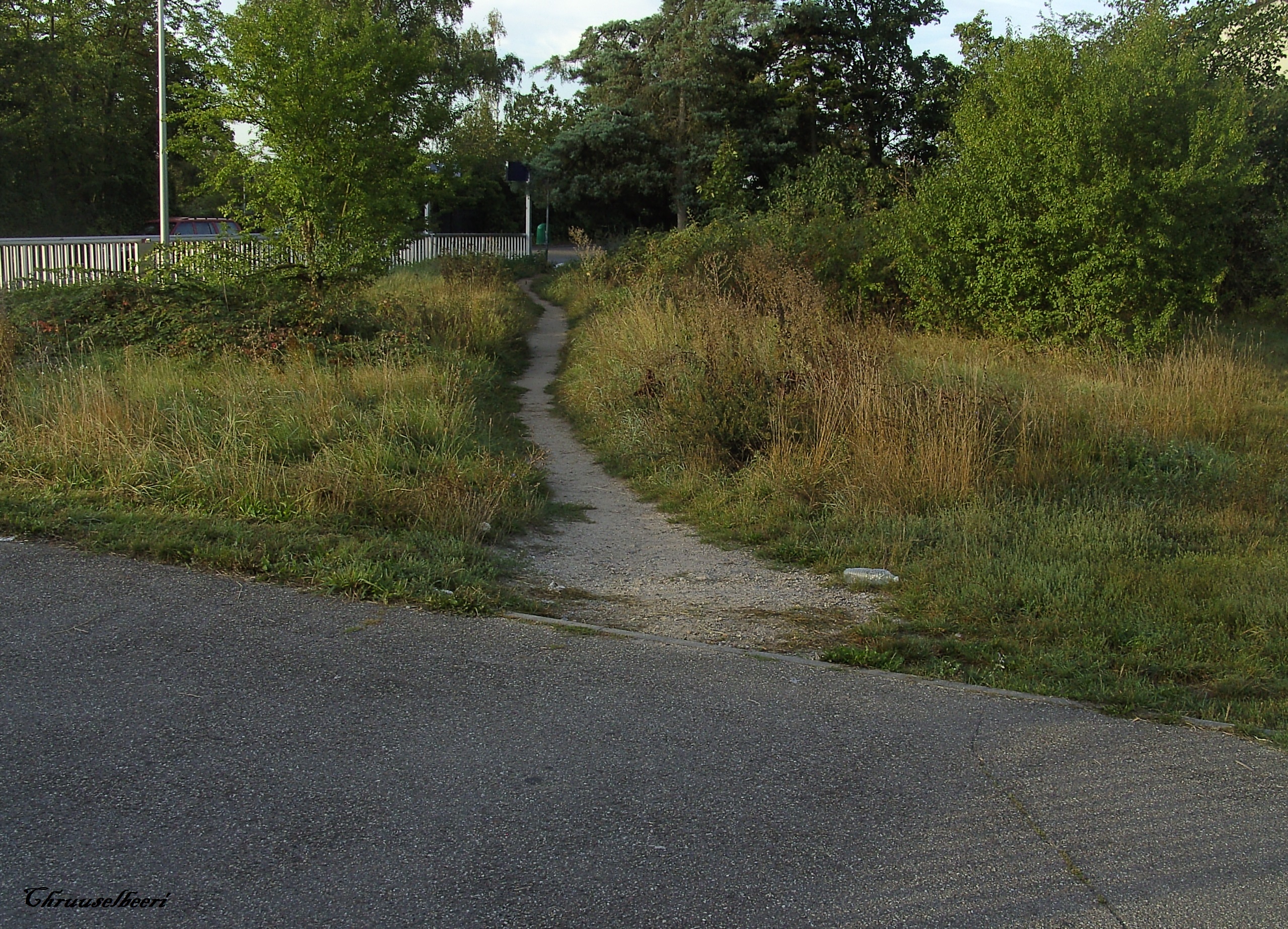 Trampelpfad_03.jpg
