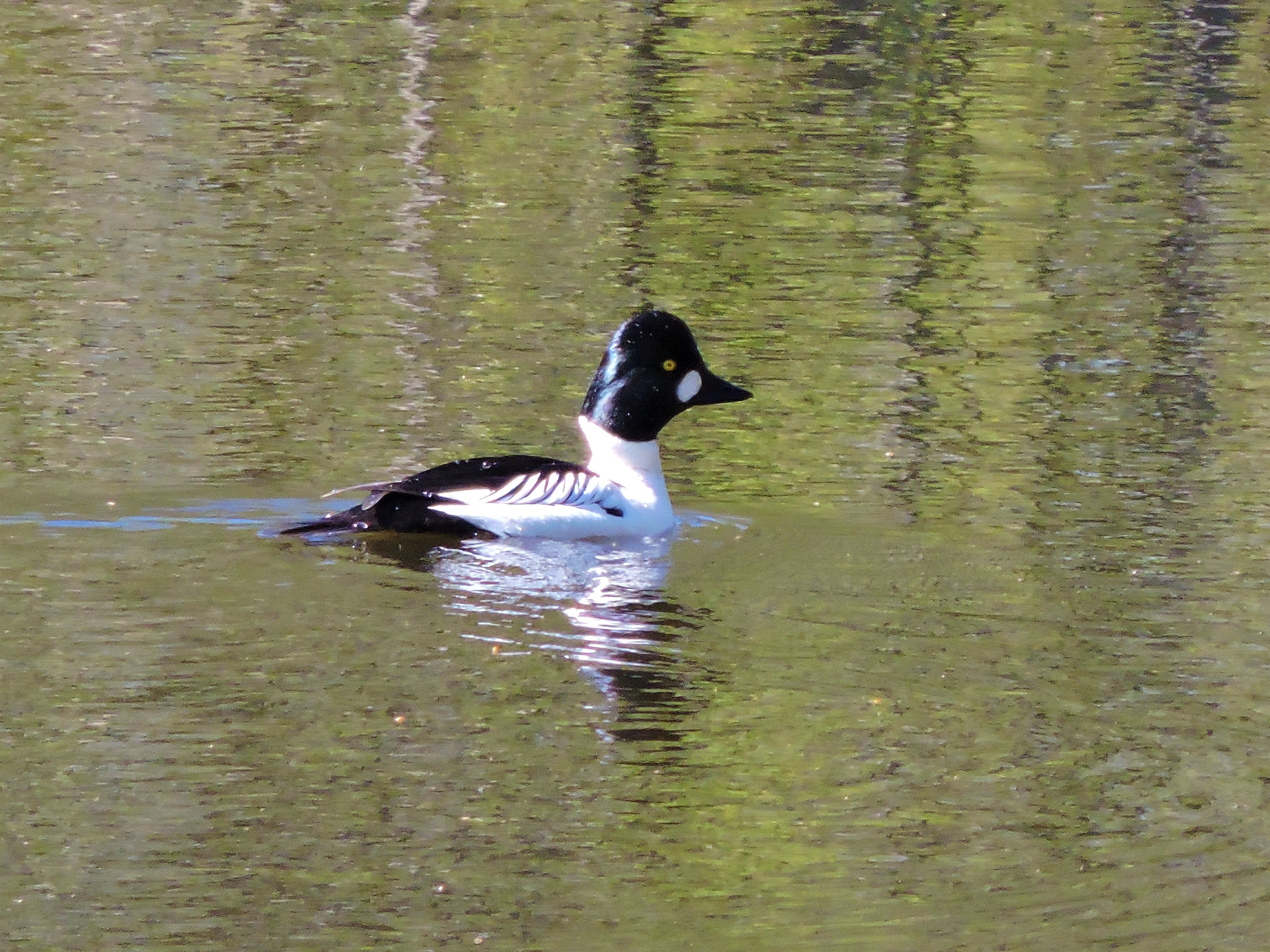 DSCN4204.JPG
