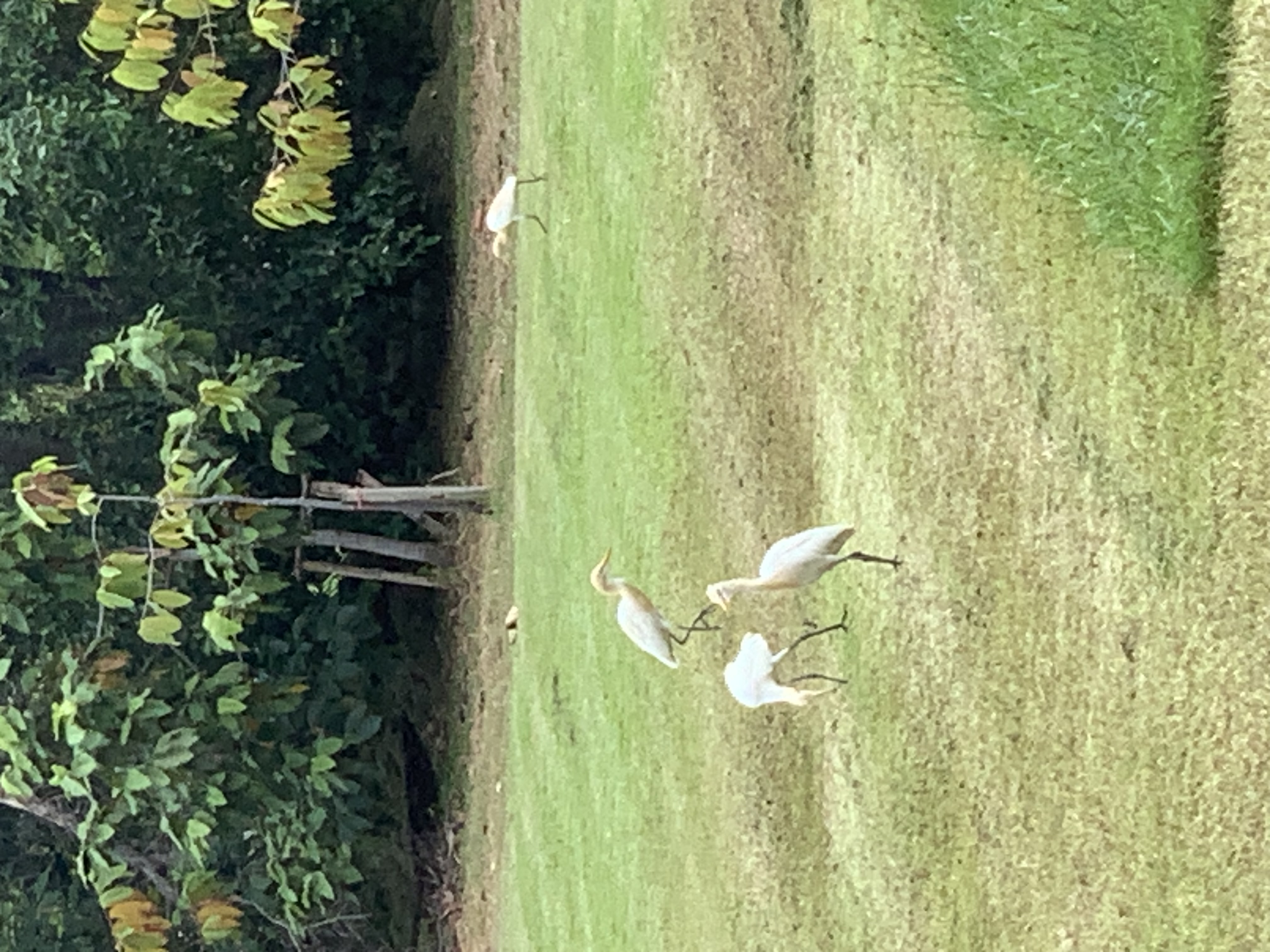 birdwatching spots24.jpg