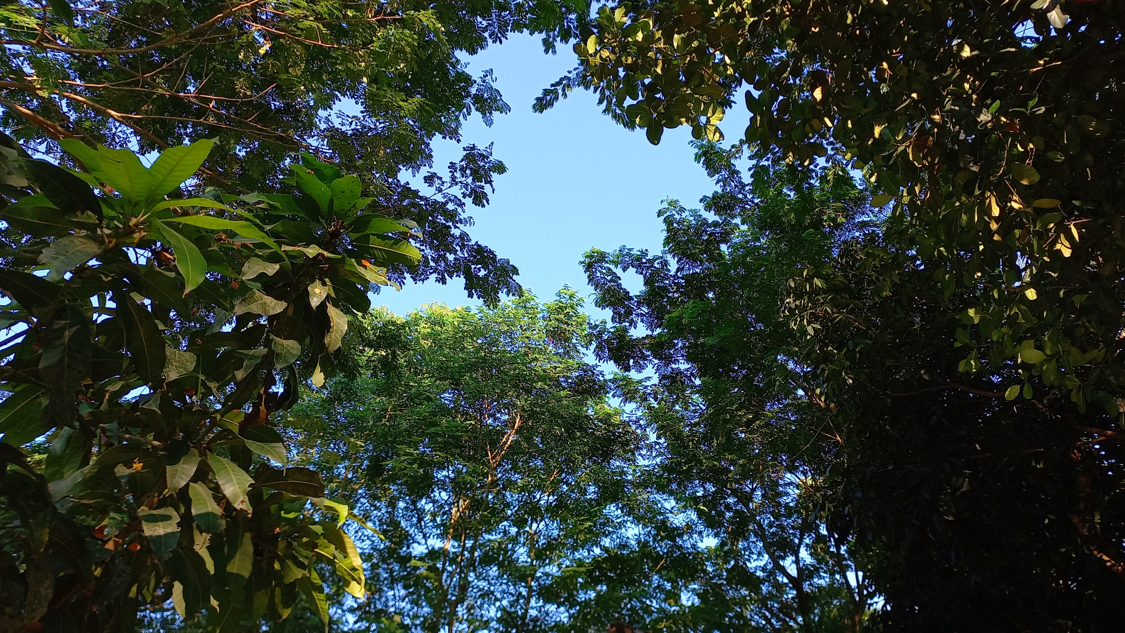 20221022_153553.jpg