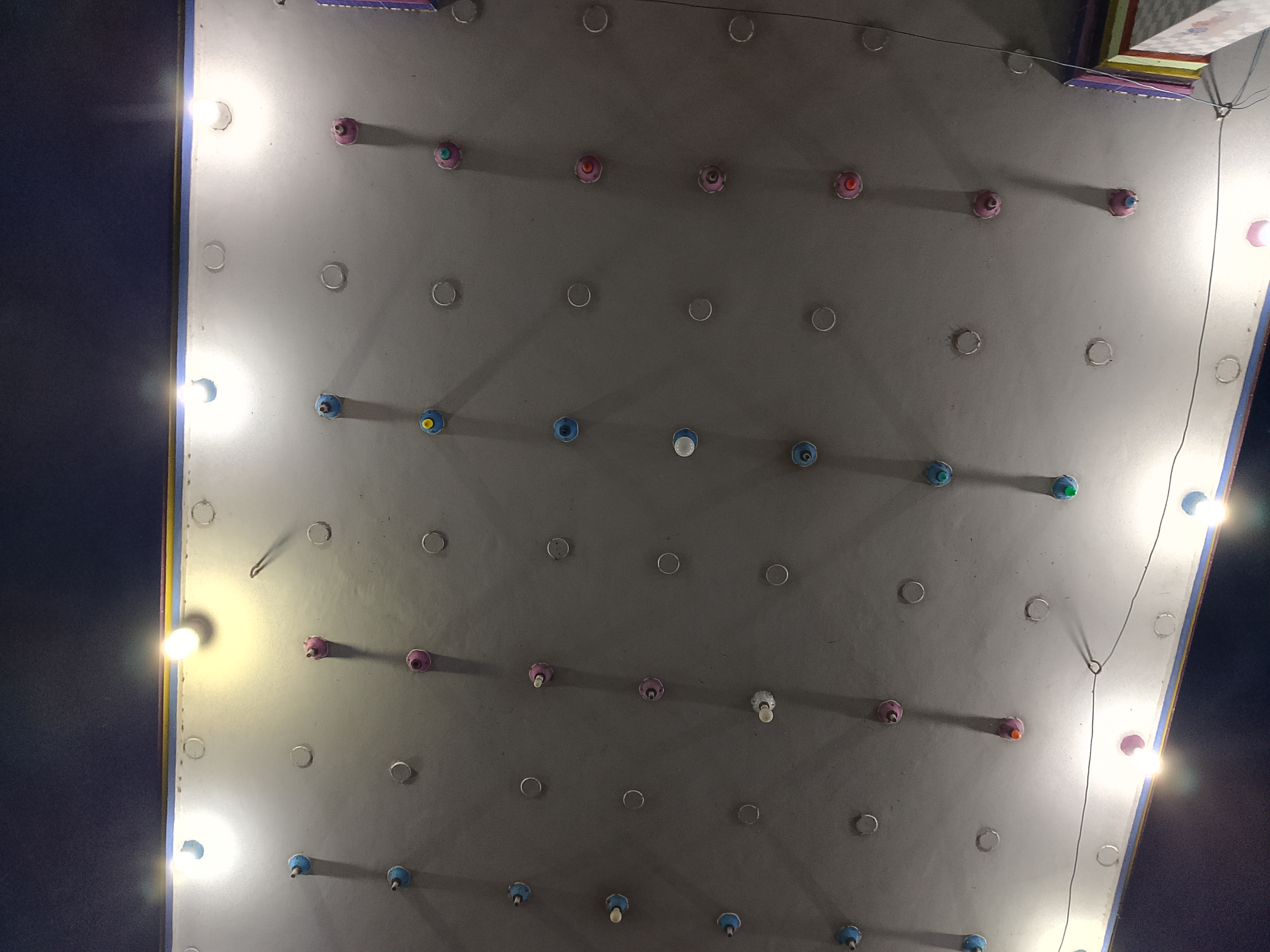 1000068486.jpg