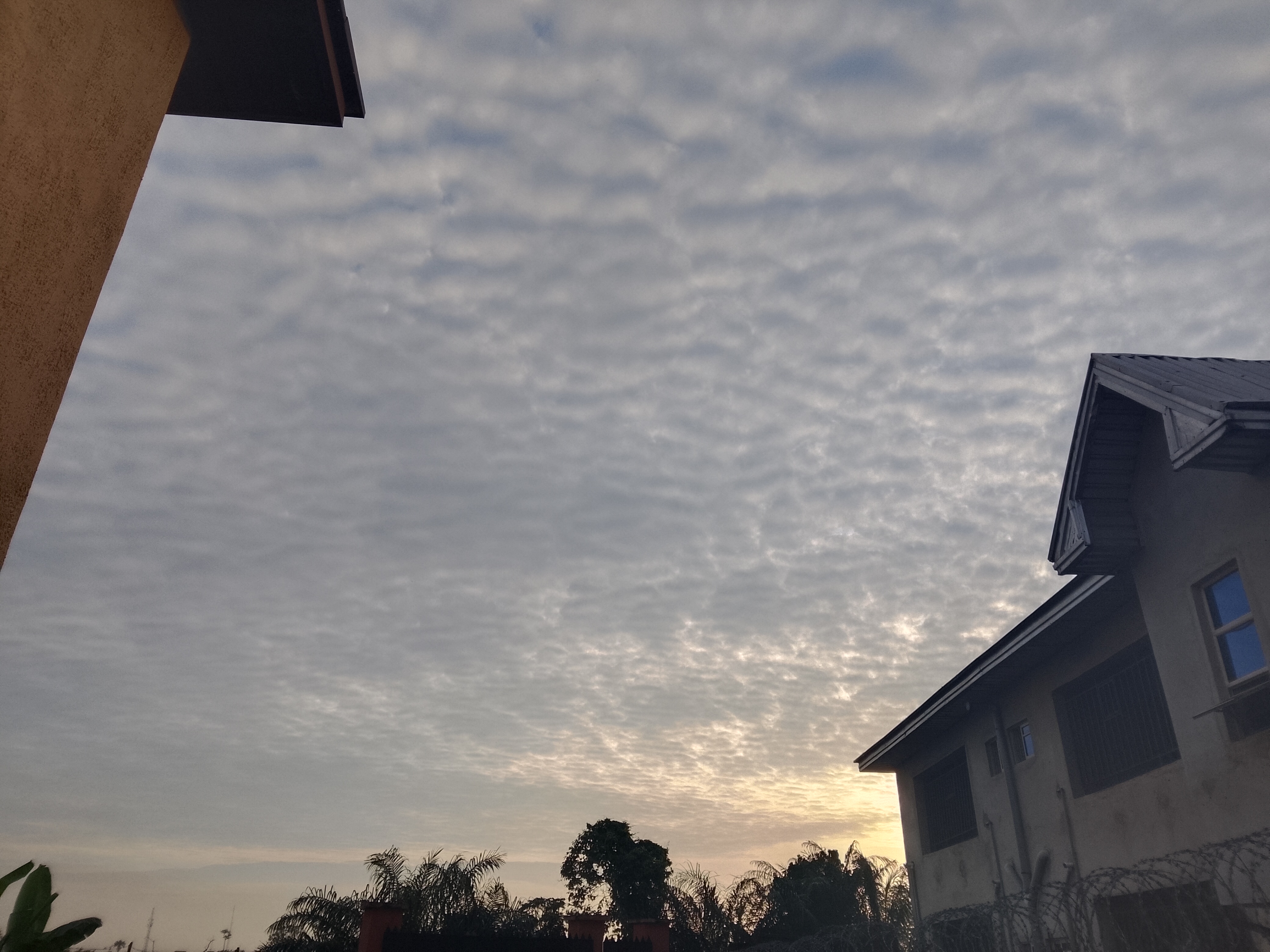 The Diary Game: [18/10/26] - A Quiet Sunday at Home ❤️🤒
