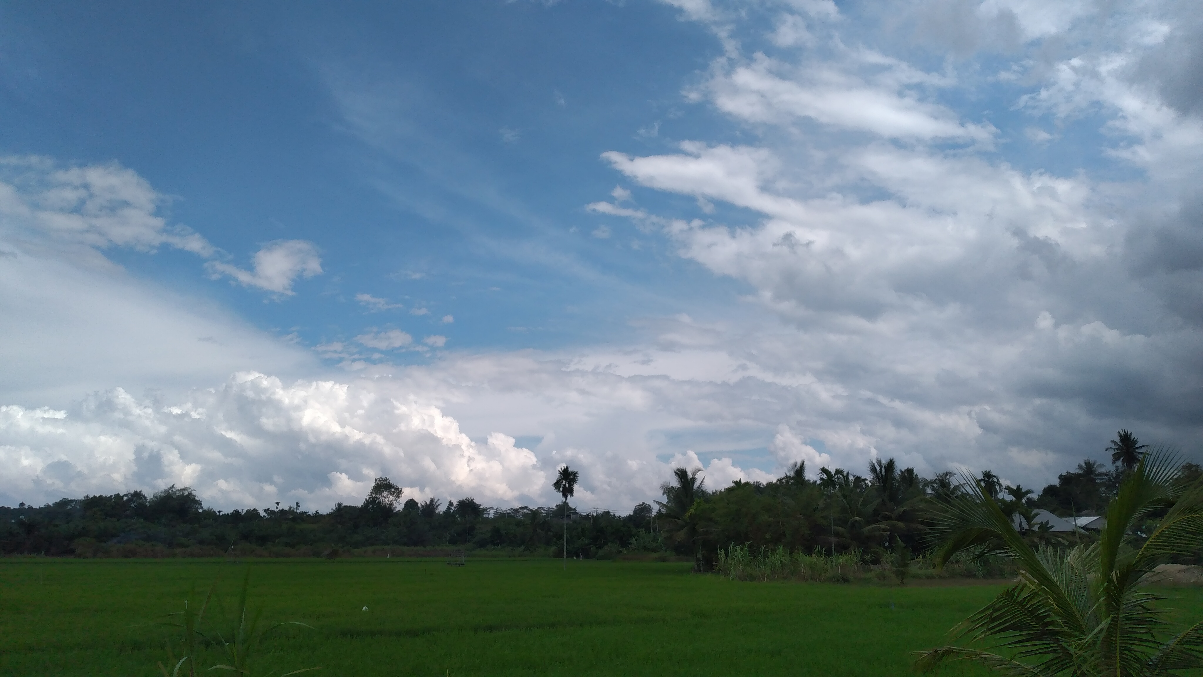 20220926_141704.jpg