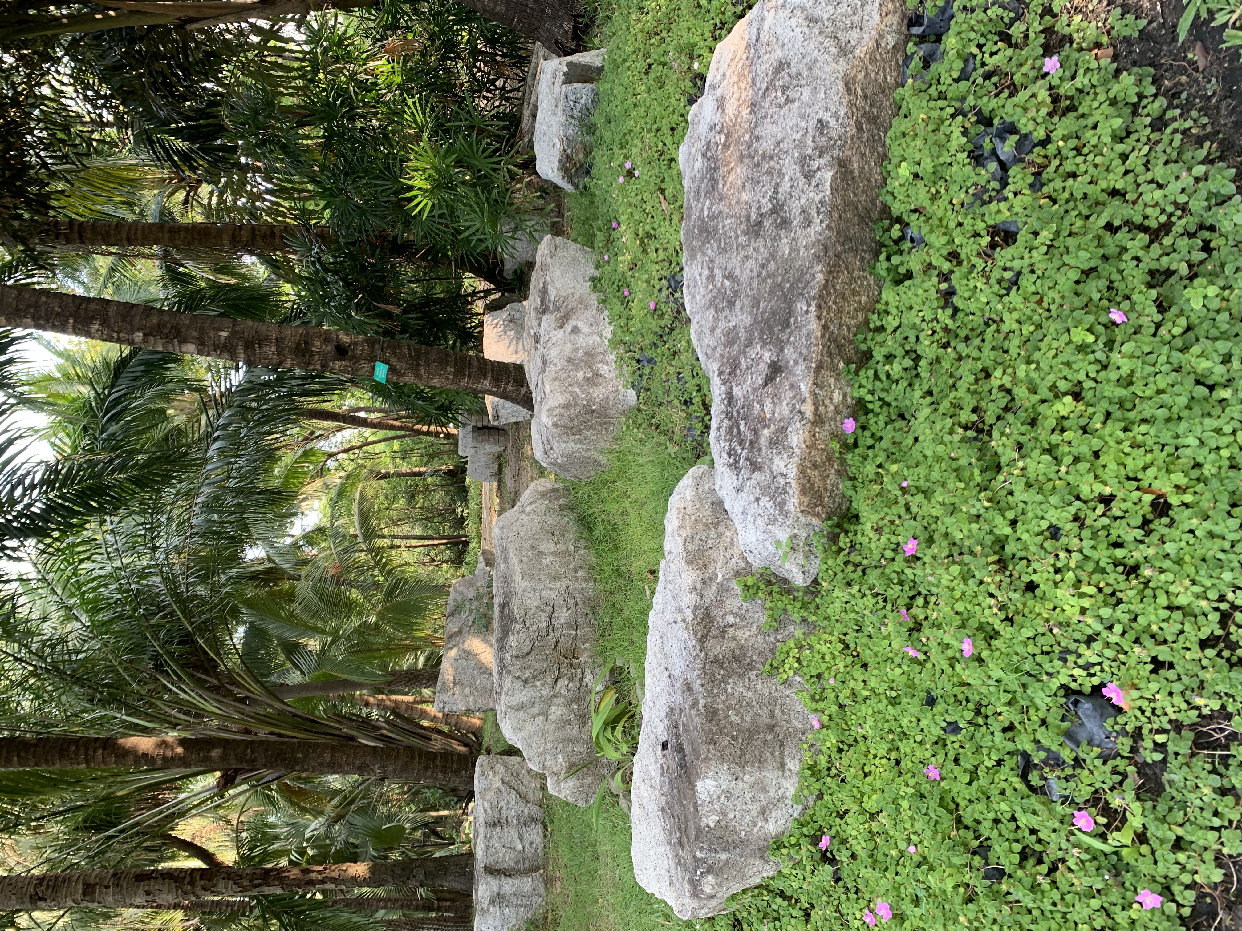Stone Park2.jpg