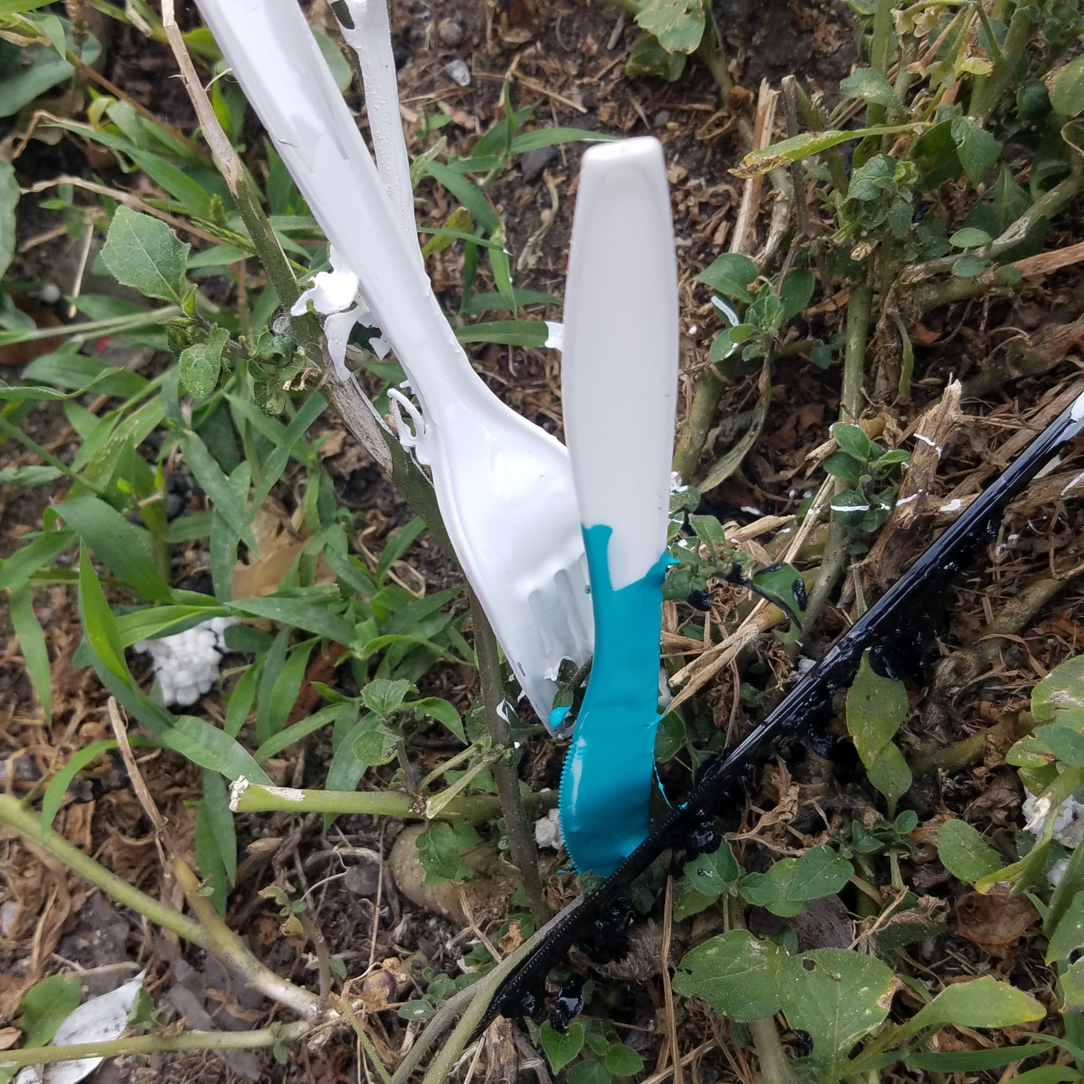 20180629_184435.jpg