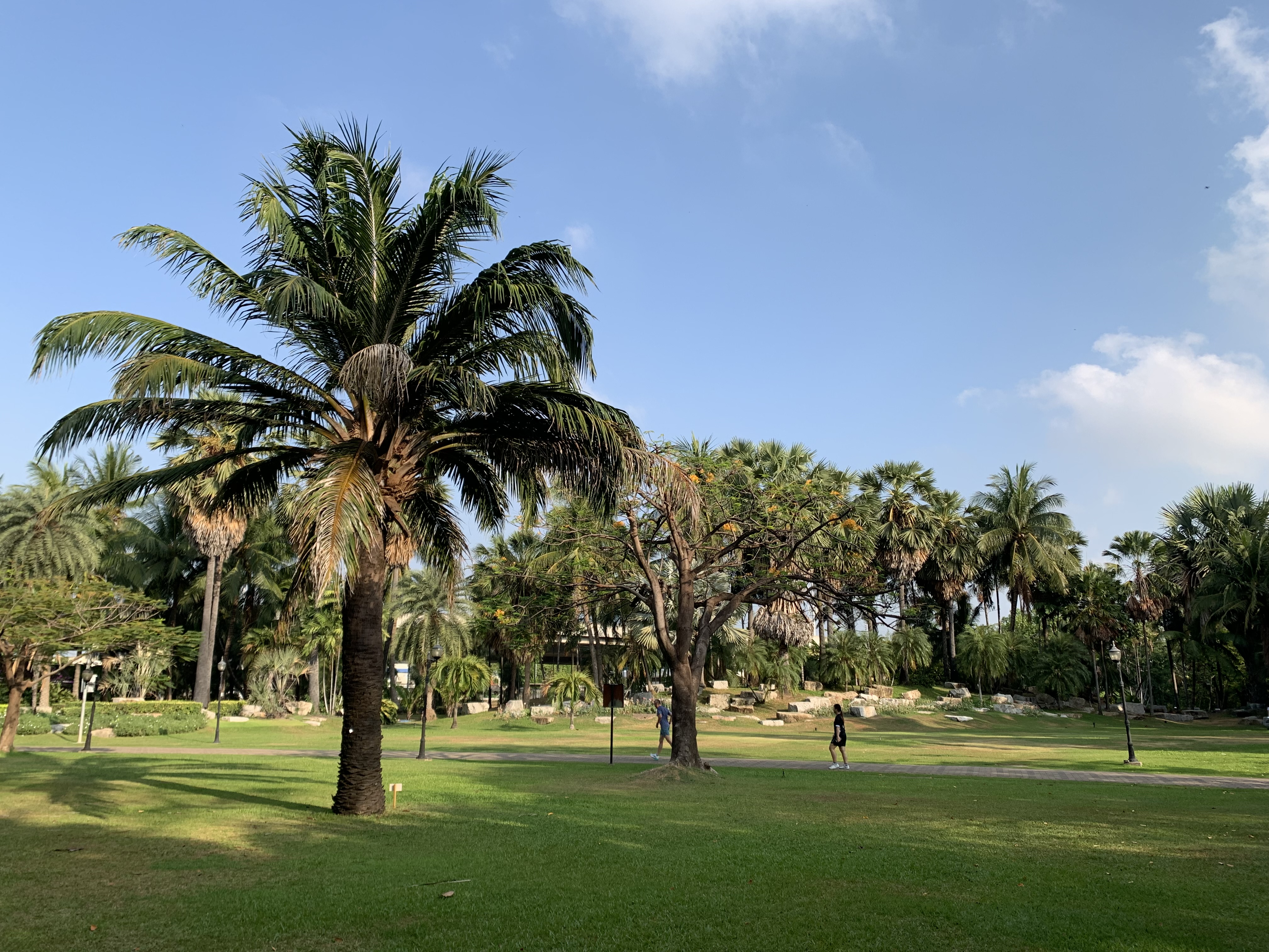 Stone Park7.jpg