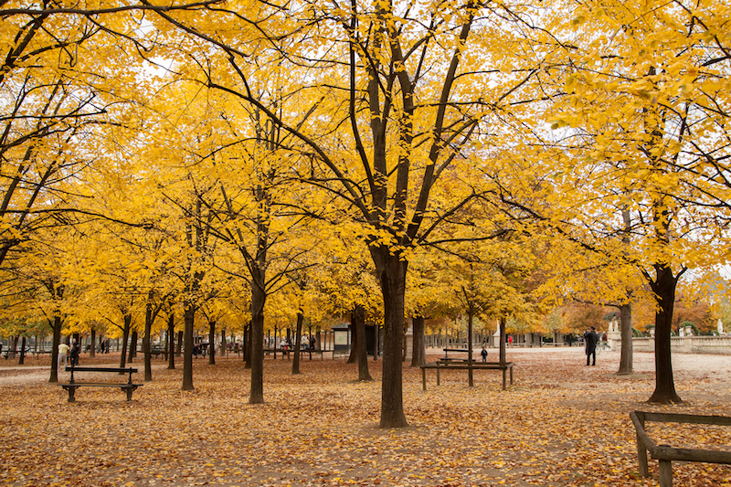 20151025-IMG_1169 copy.jpg