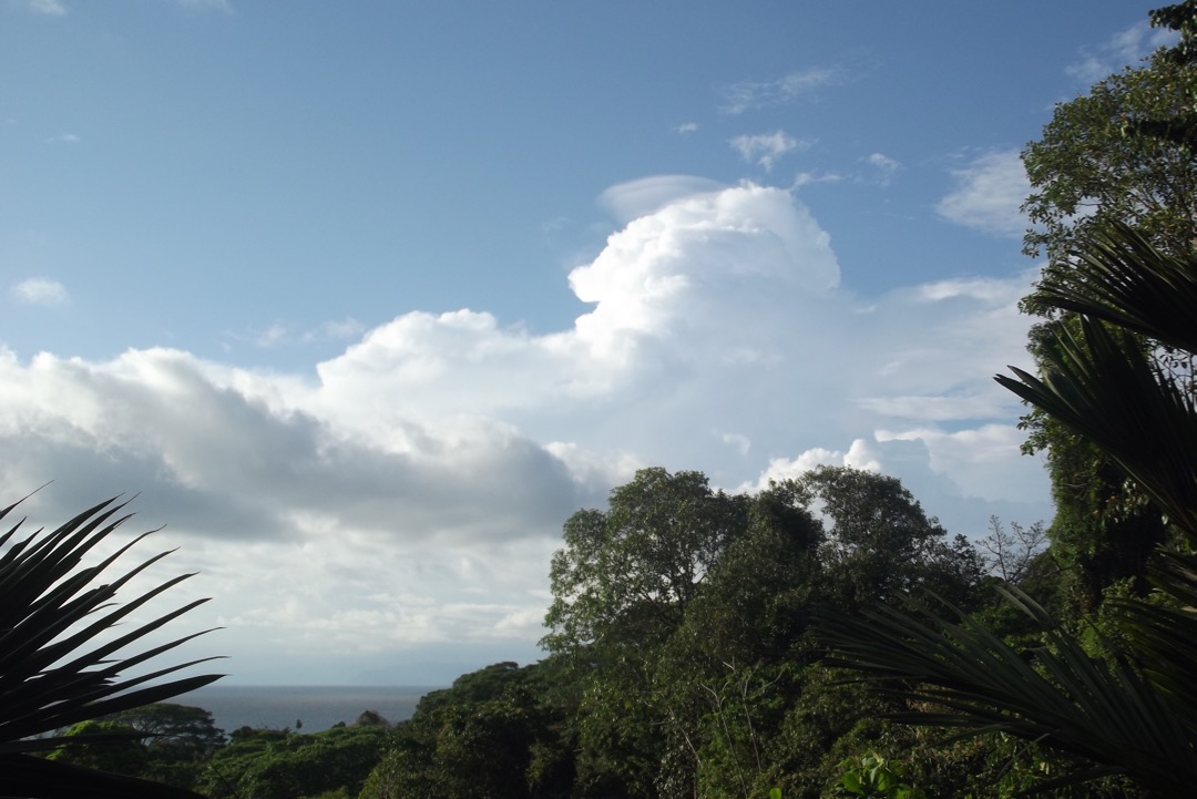 DSCF8855.jpg