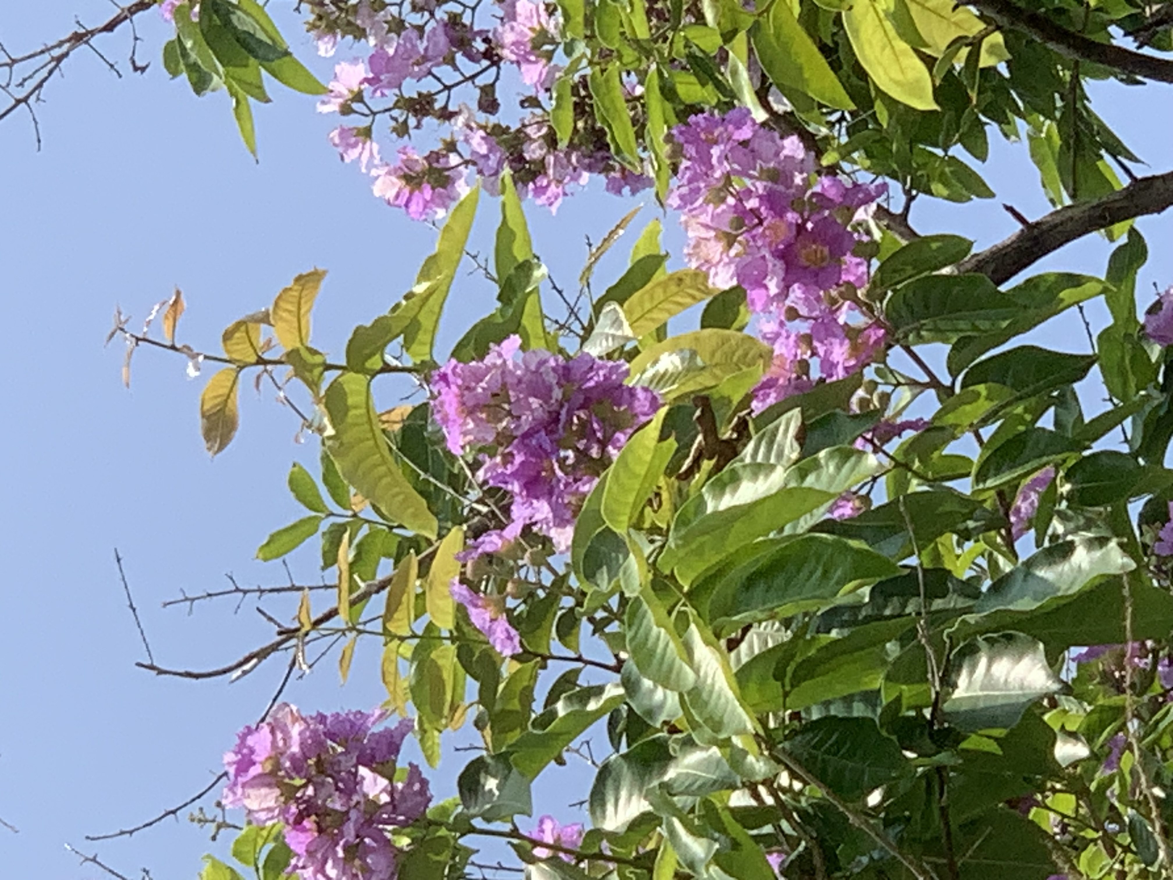 nature810.jpg
