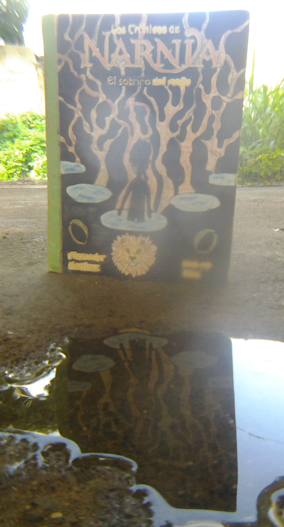 20180620_172734.jpg