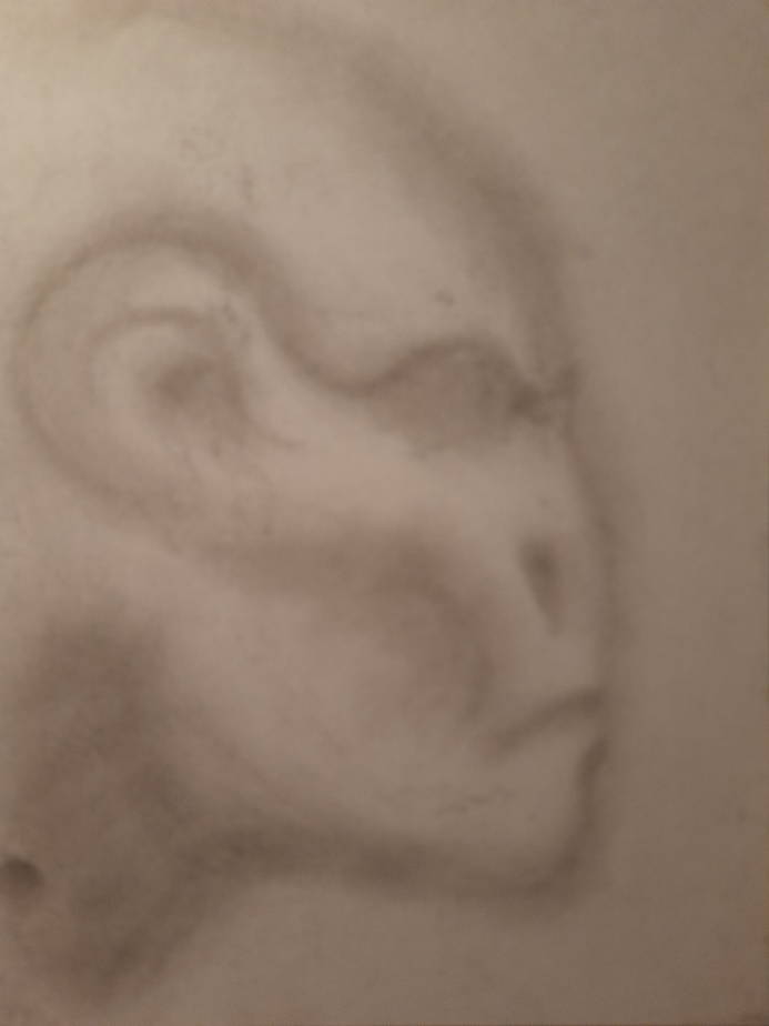 20260725_104448.jpg
