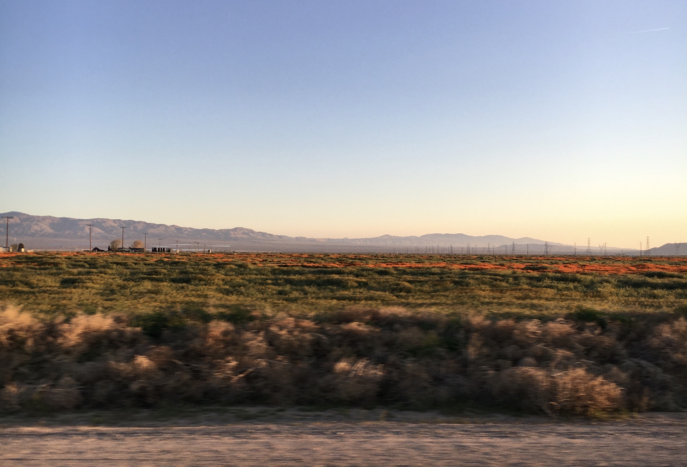 0BA27D7D-D24C-49D0-8665-337D9A7BB276.jpeg