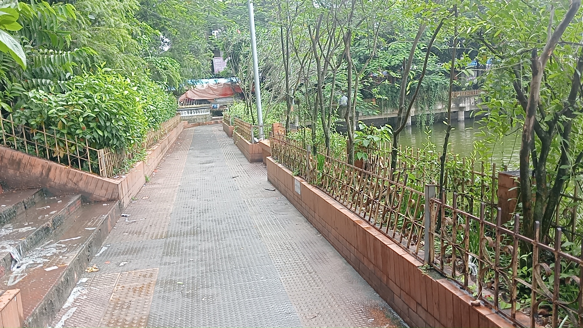 1000038066.jpg