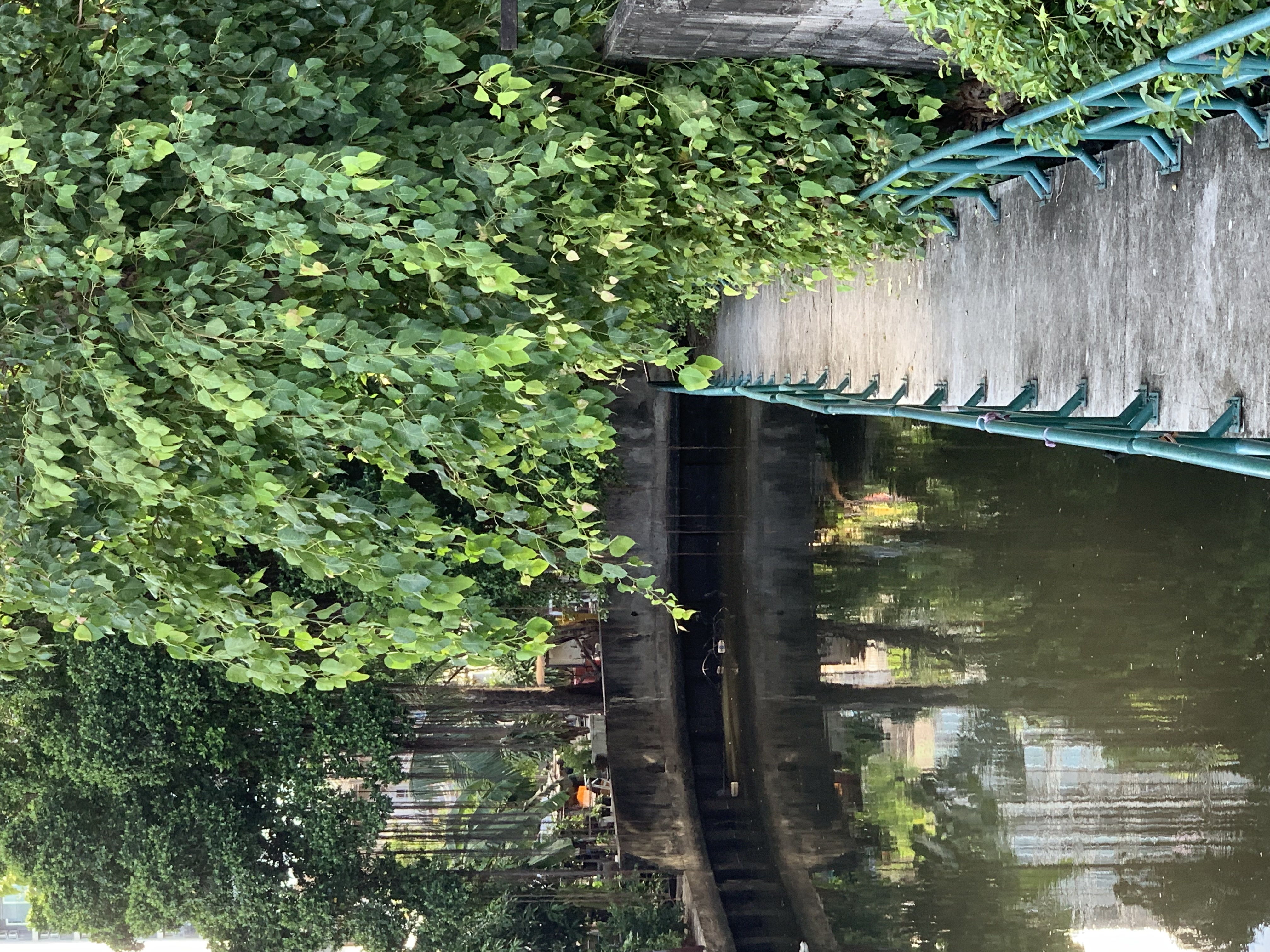 canal3.jpg