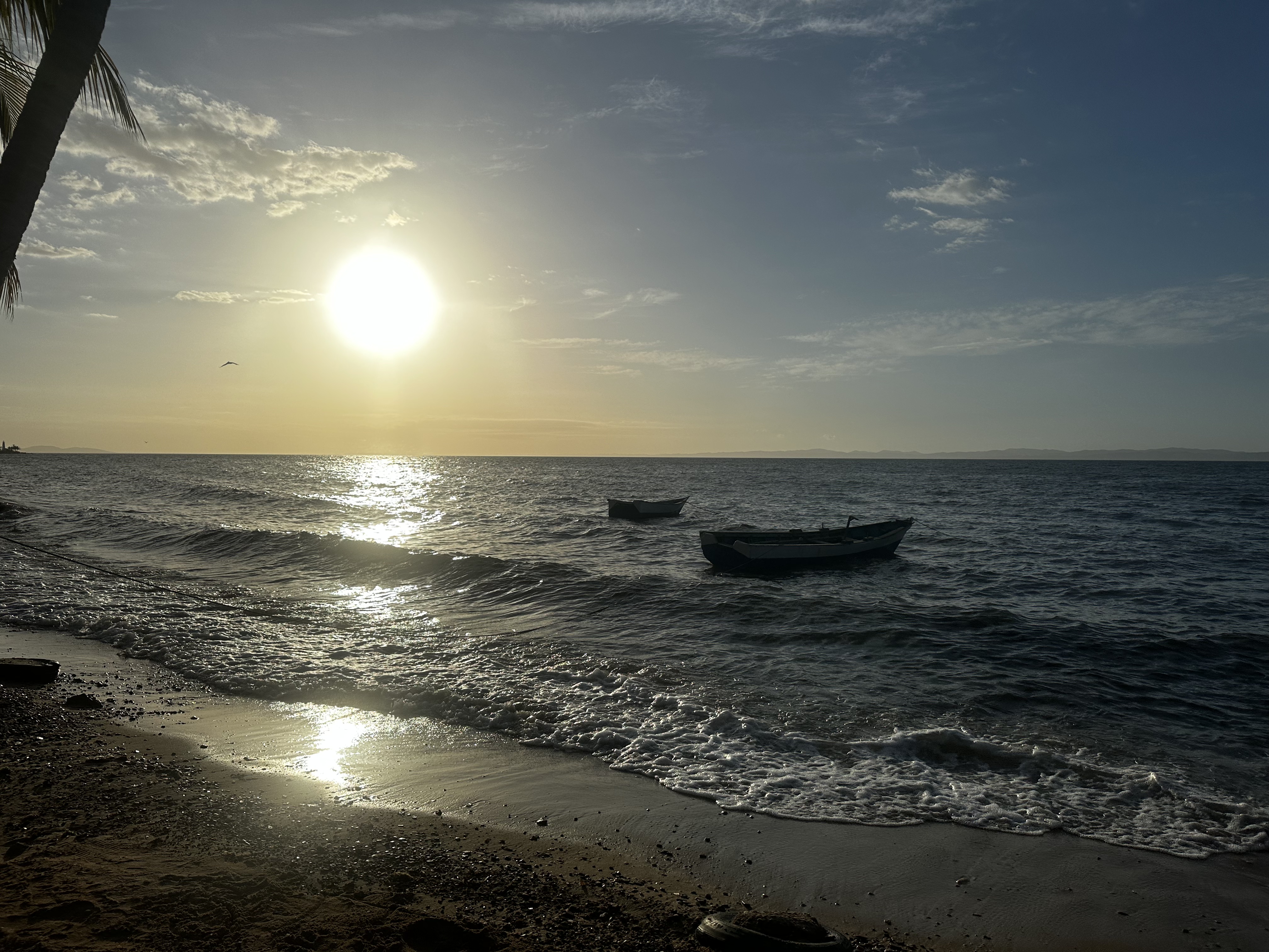 IMG_4490.jpeg