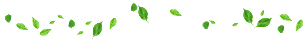 lineaseparadora-1024x142.png