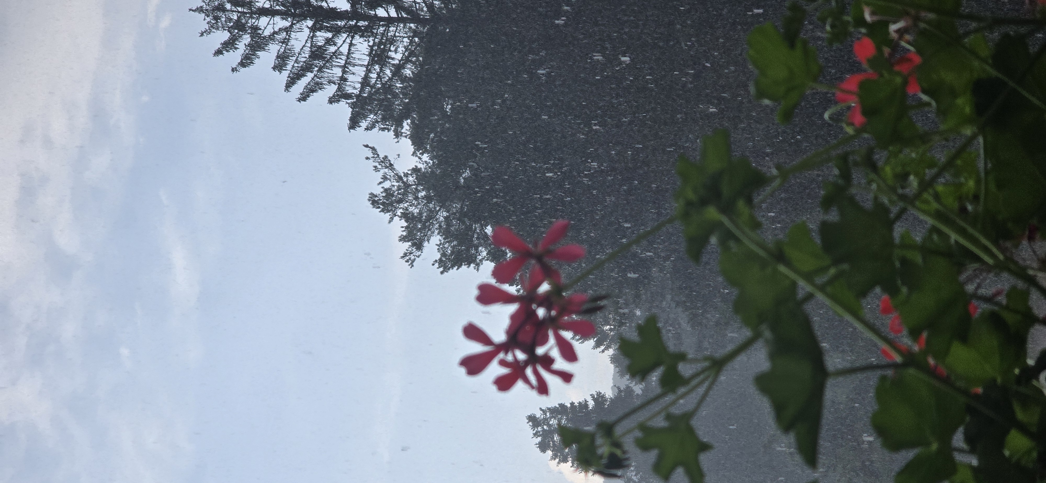 20250815_170308.jpg