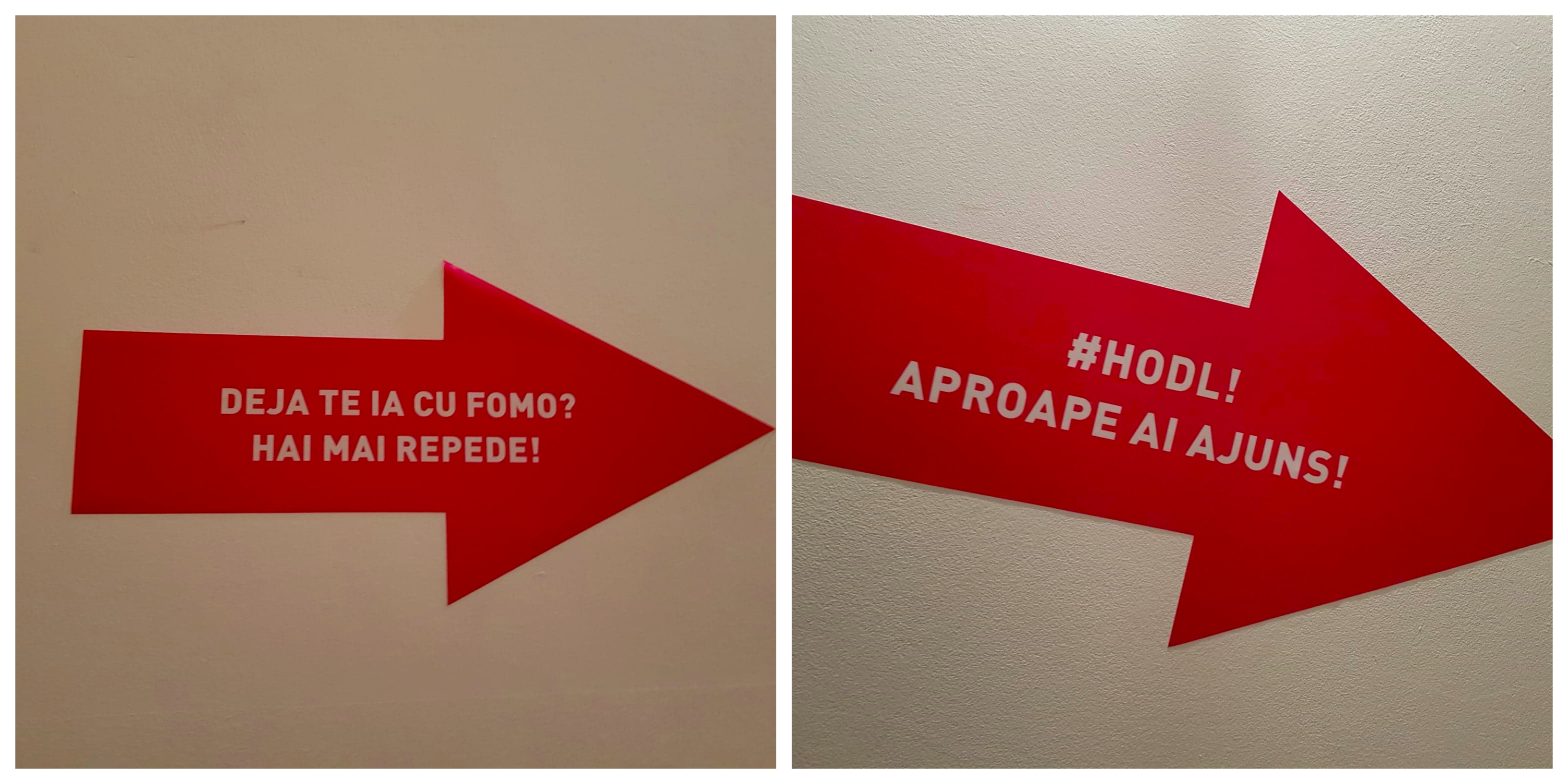 BeFunky-collage.png