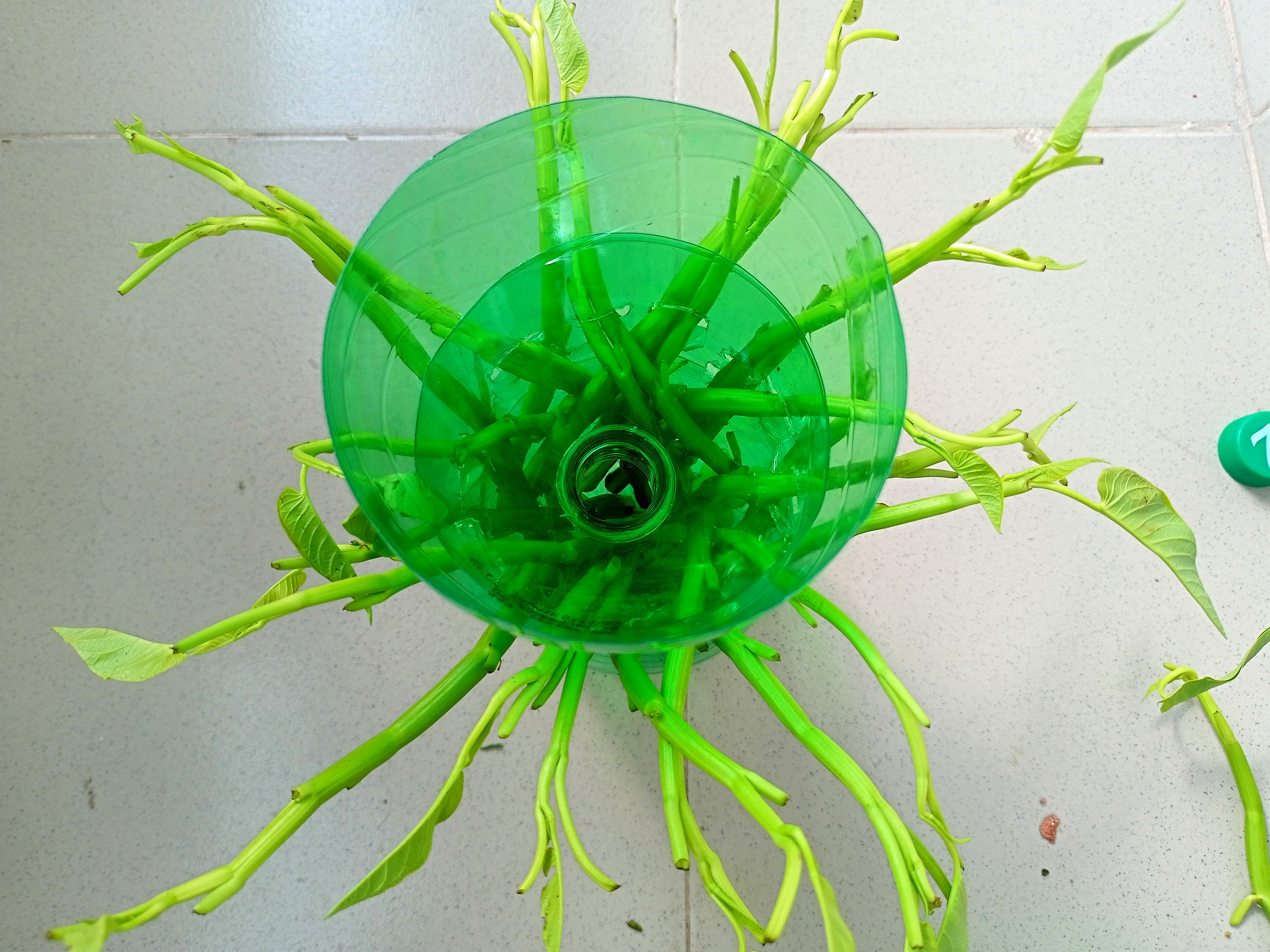 IMG20220921144721~2.jpg