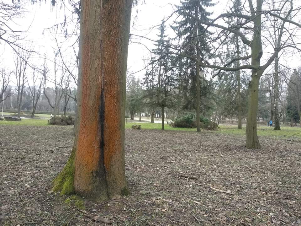 received_195896001702740.jpeg