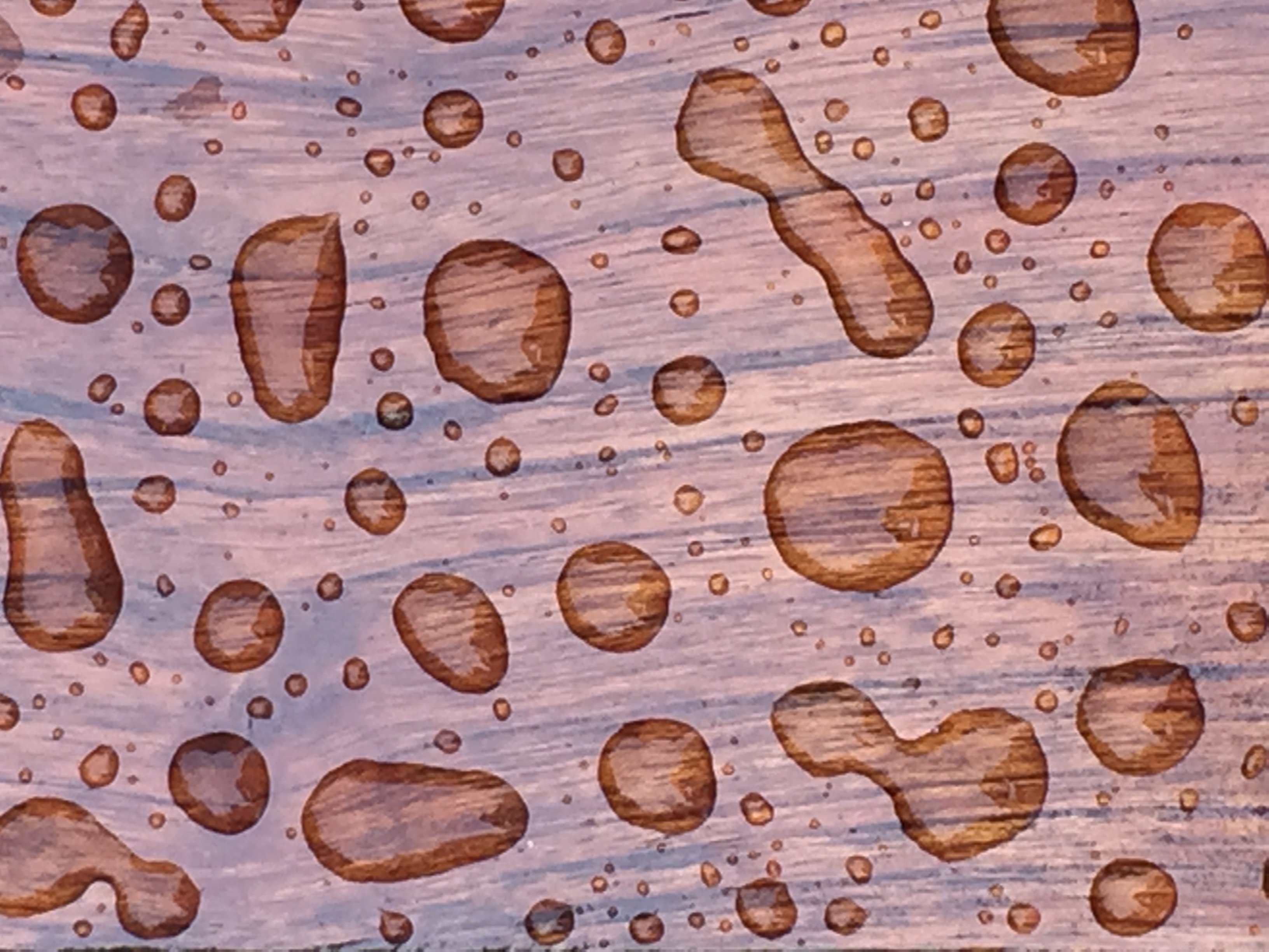 DreamyTeakDroplets1.JPG