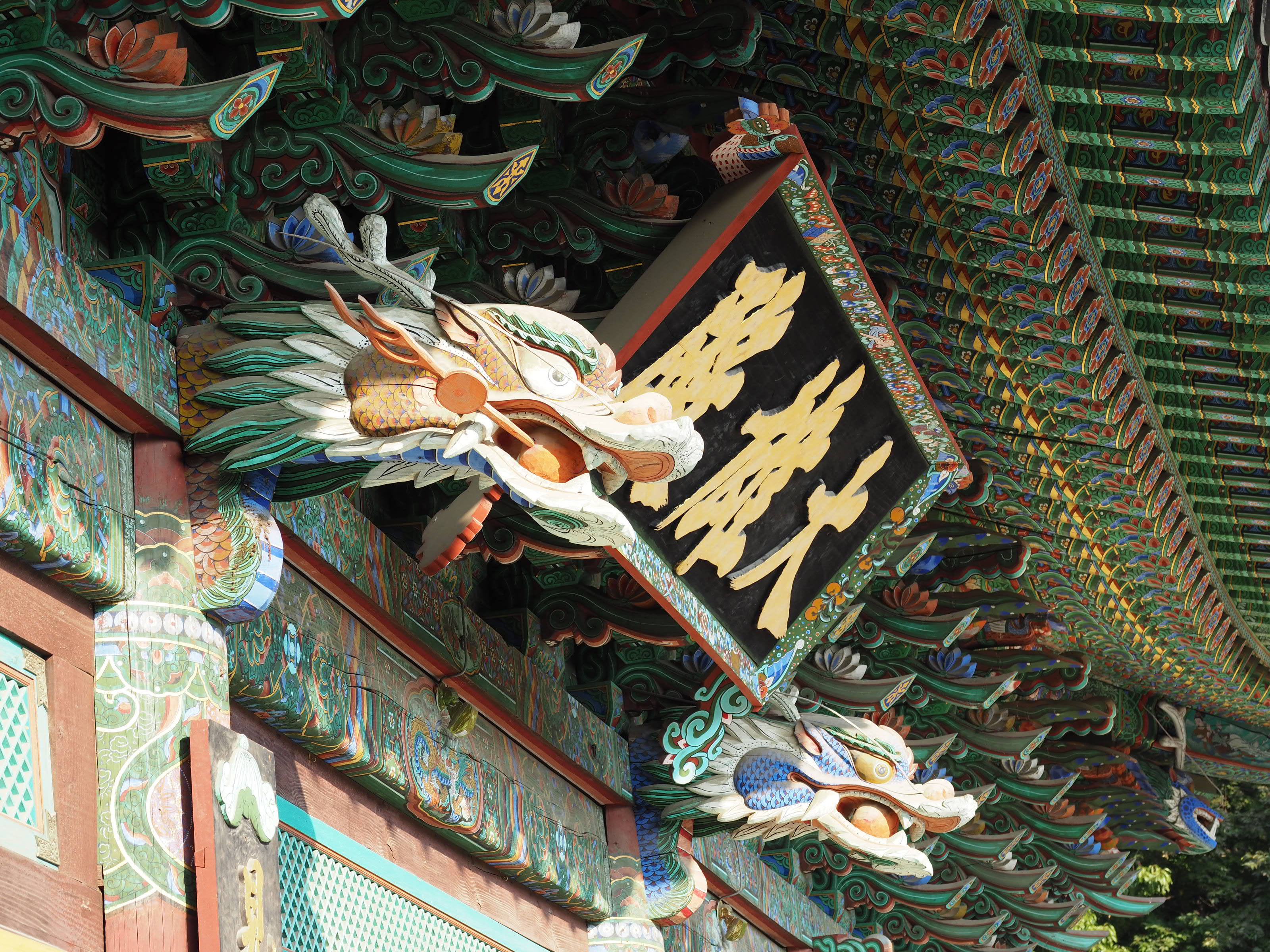 PA200018 (1).JPG