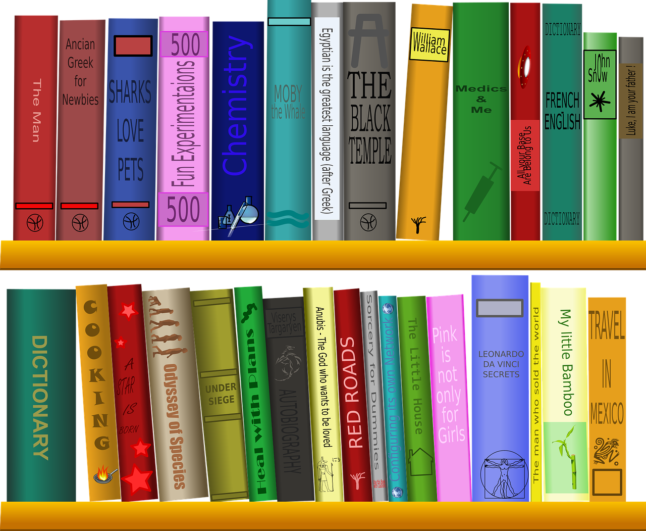 shelf-g98e69f080_1280.png