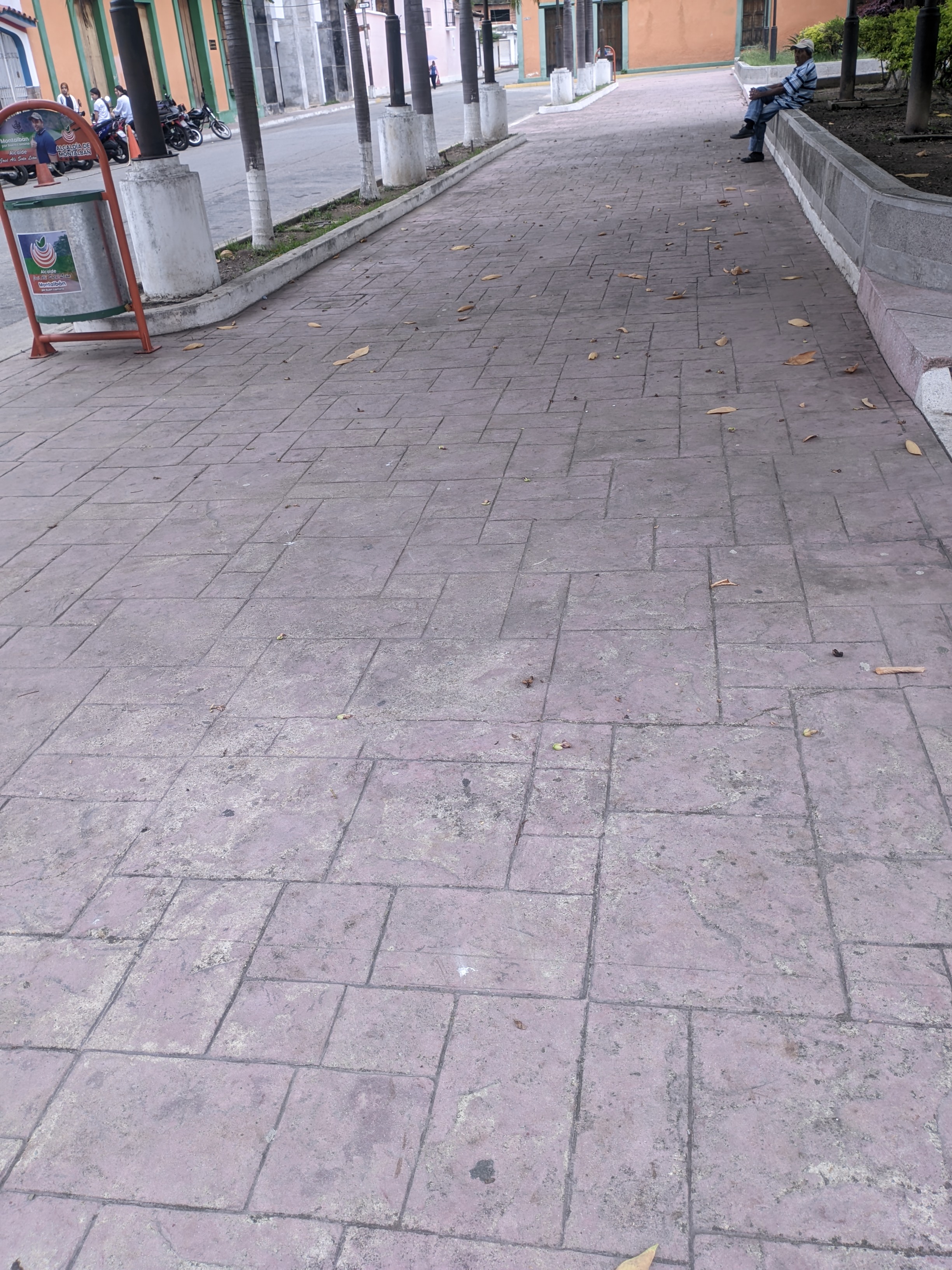 PXL_20250422_124513250.jpg