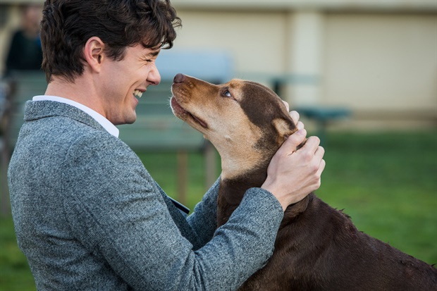 A Dogs Way Home22.jpg