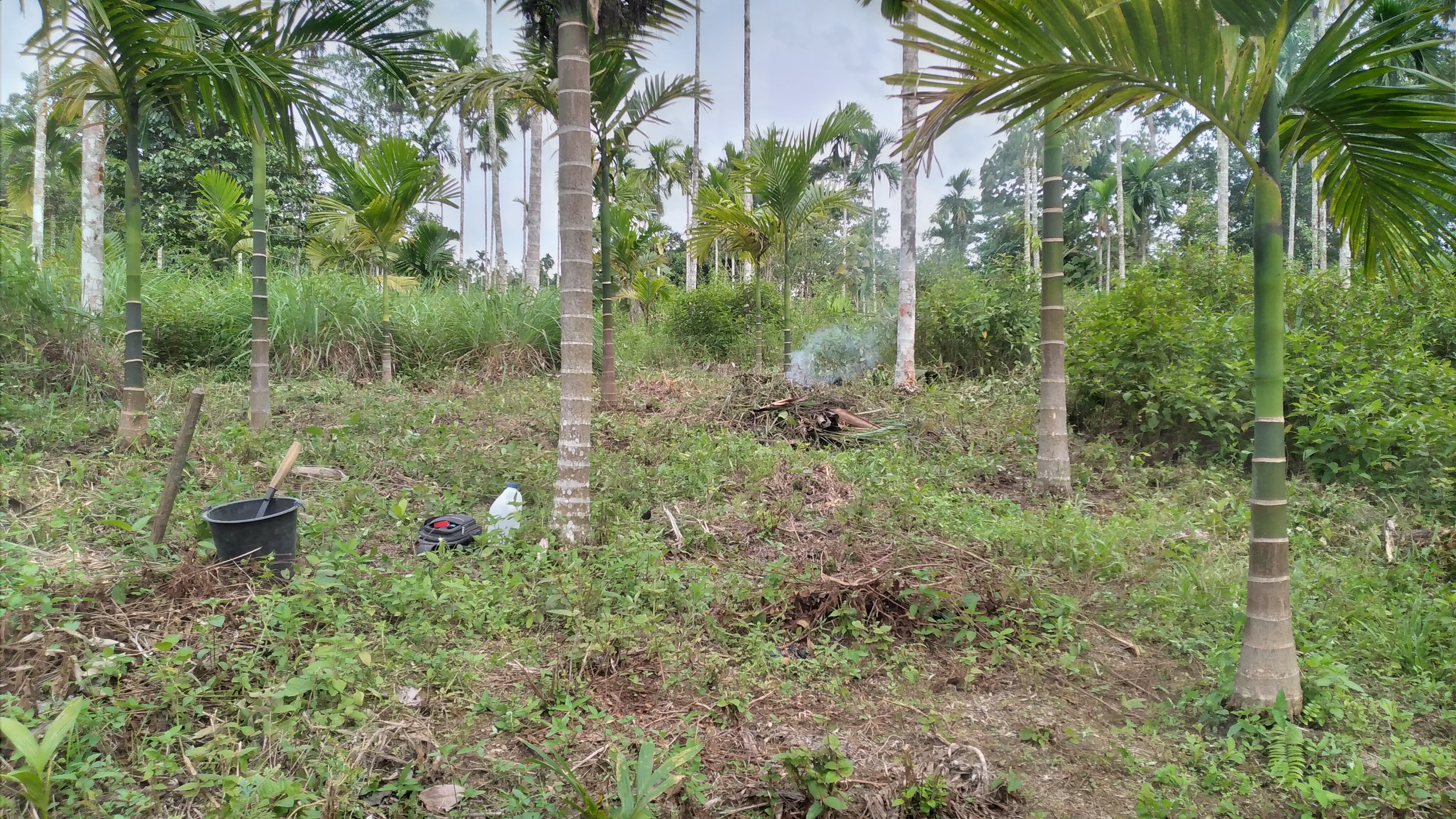 20221120_145356.jpg