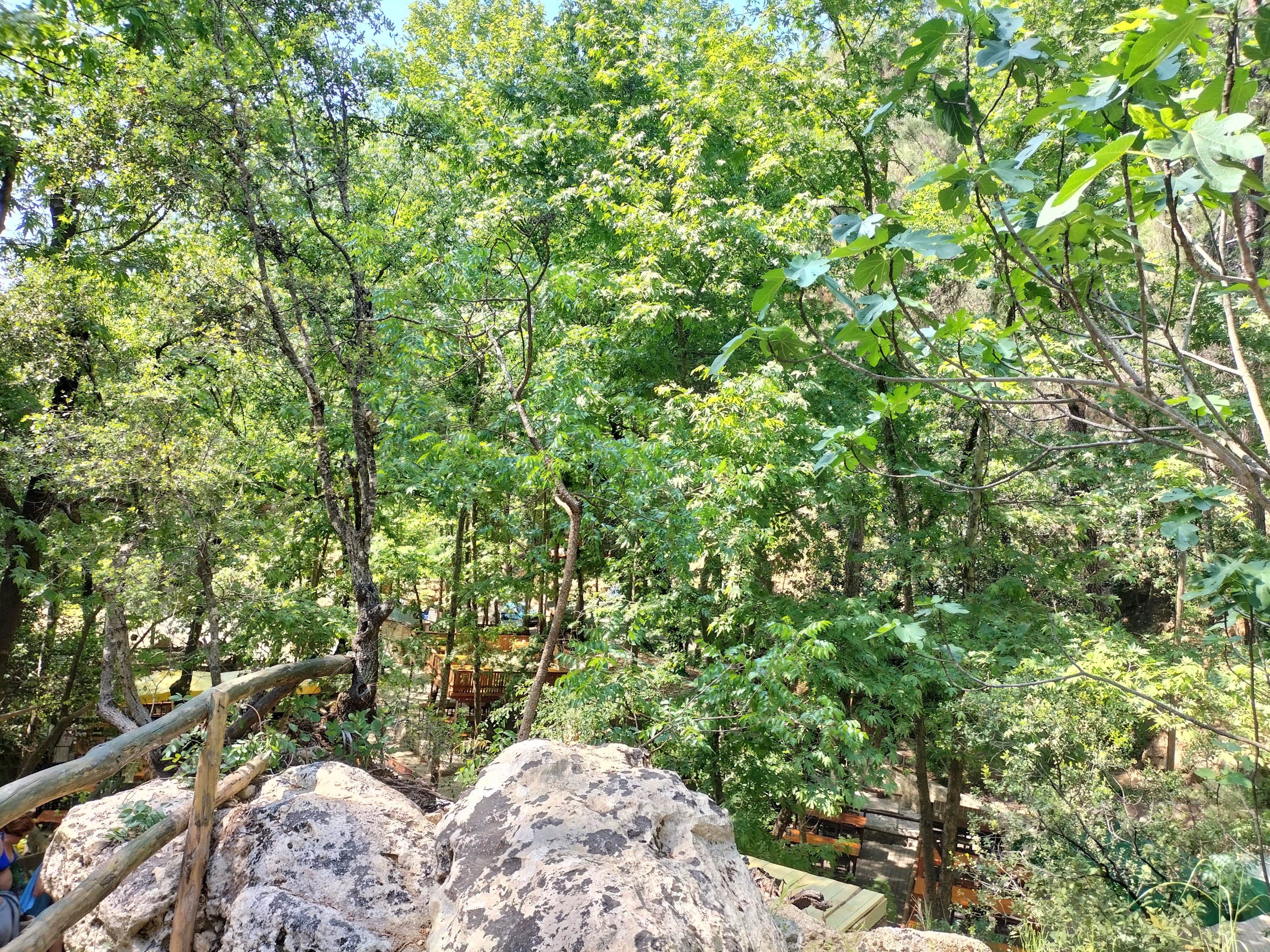 IMG20220520153244.jpg