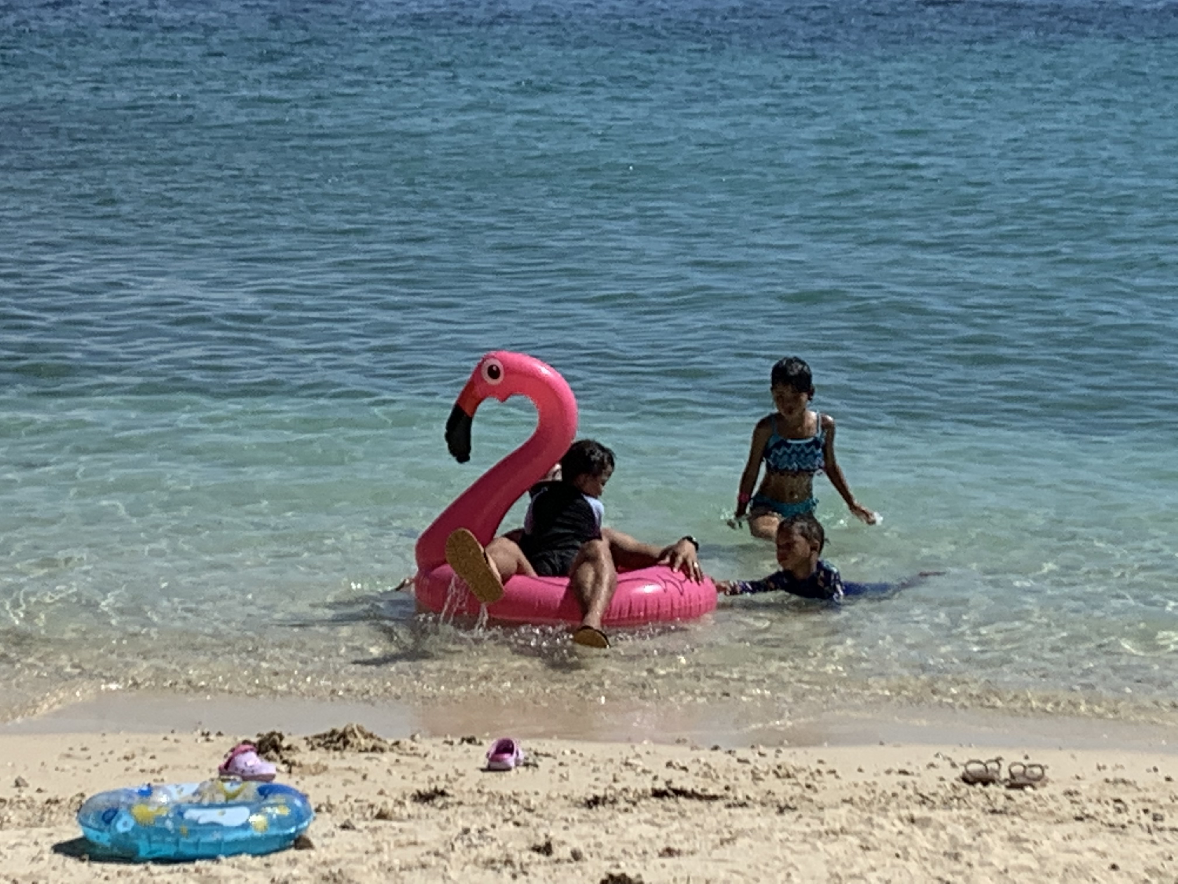 0647EFB4-81F3-4146-A814-D8F038C96AD0.jpeg