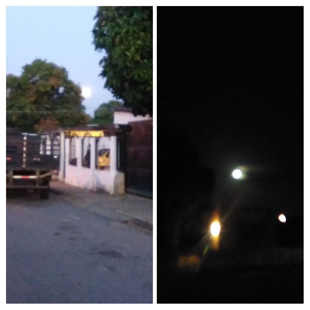IMG_20210426_232921-COLLAGE.jpg