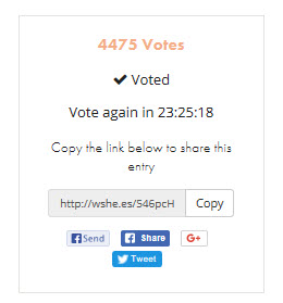 3rd vote for STEEM.jpg