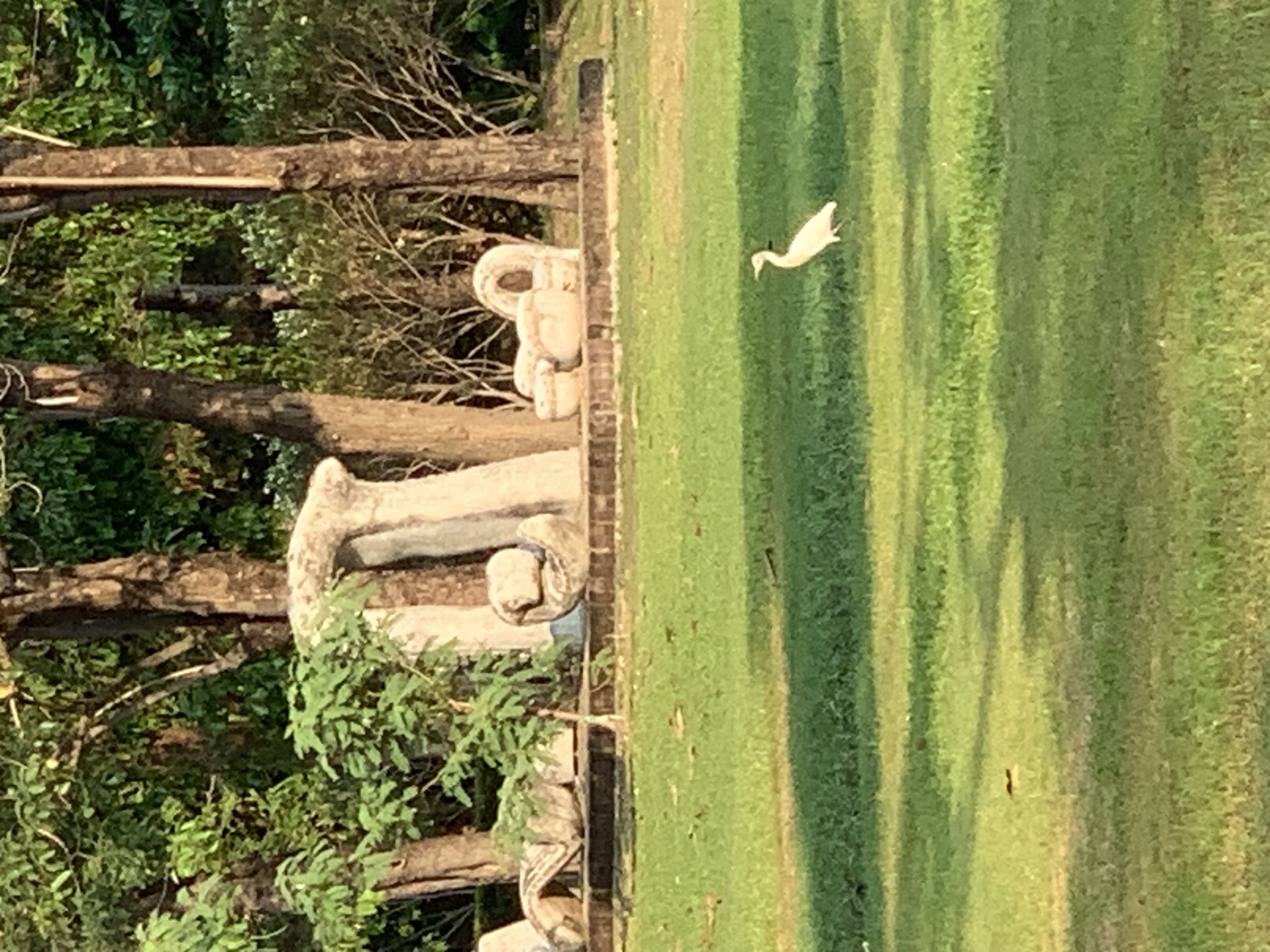 birdwatching spots32.jpg