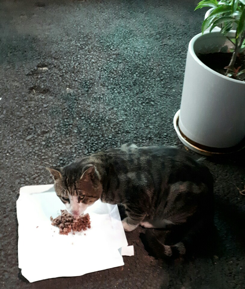 KakaoTalk_20180911_150932538.jpg