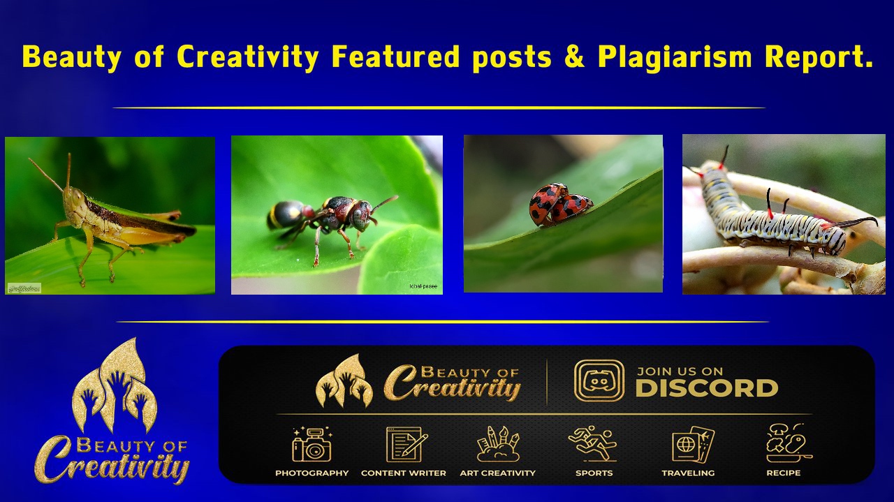 174A0A2B-344C-4D5D-81B2-CB2711ADAB89.jpeg