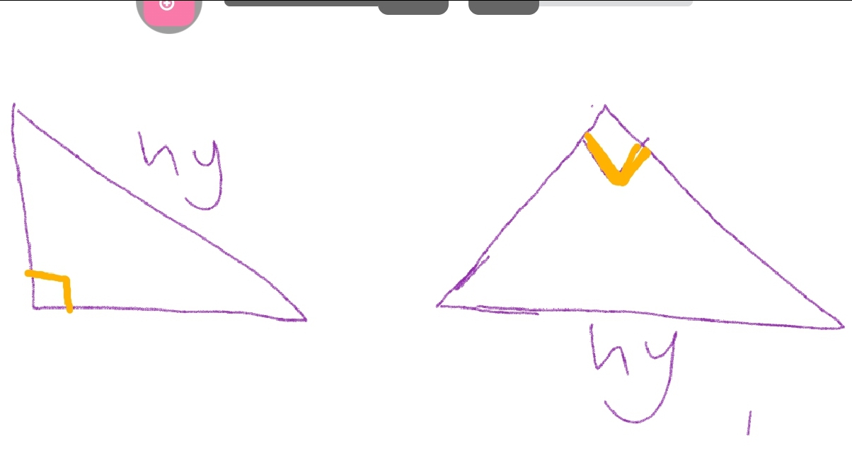 1000018049.jpg