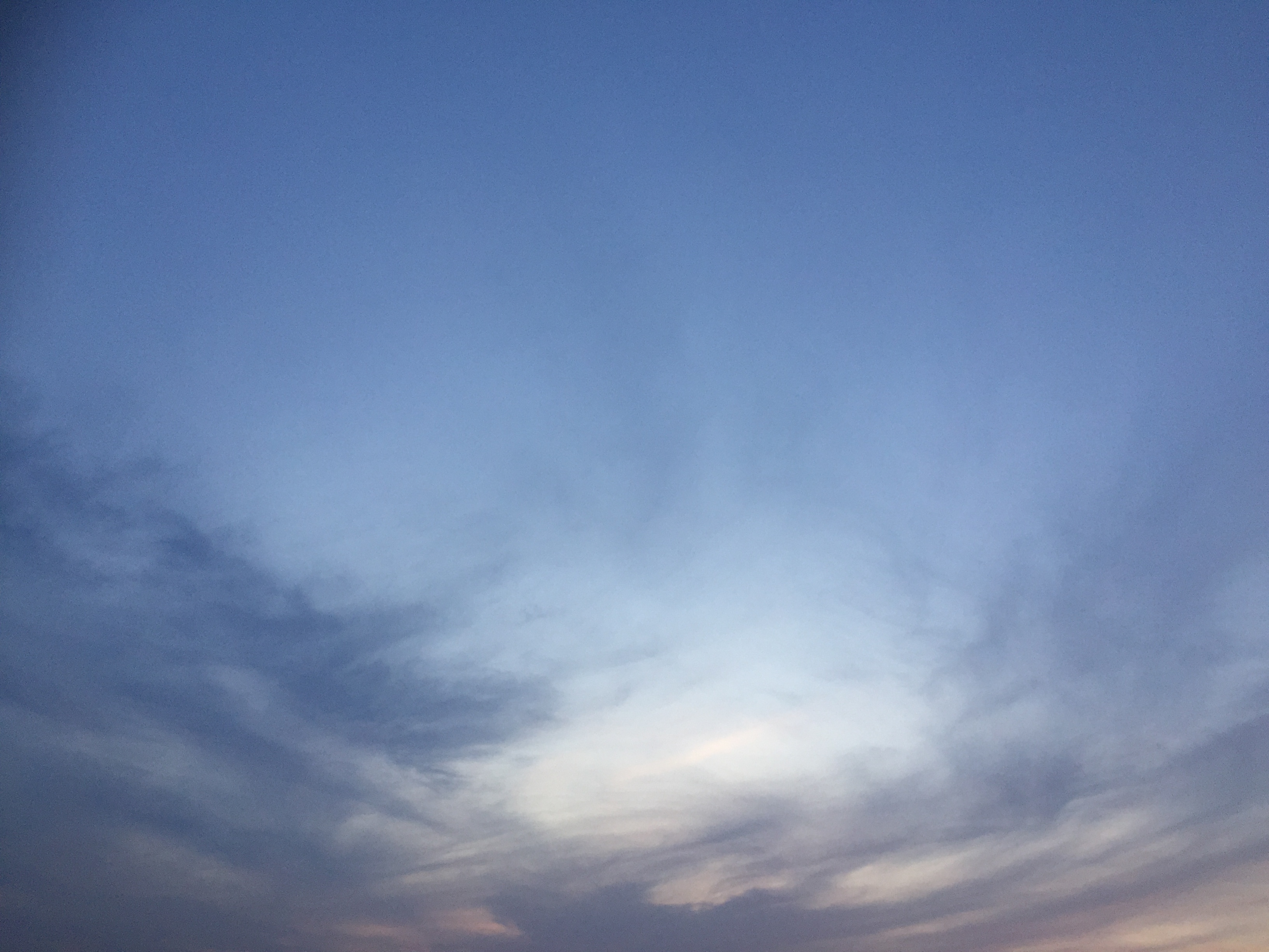 D151725A-2427-4255-92F1-F6C352E49713.jpeg