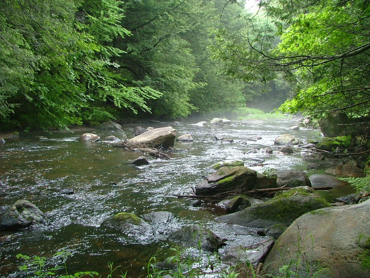 Вода стрим. Вода река. Холодный ручей река. Бурный поток реки. Stream вода.